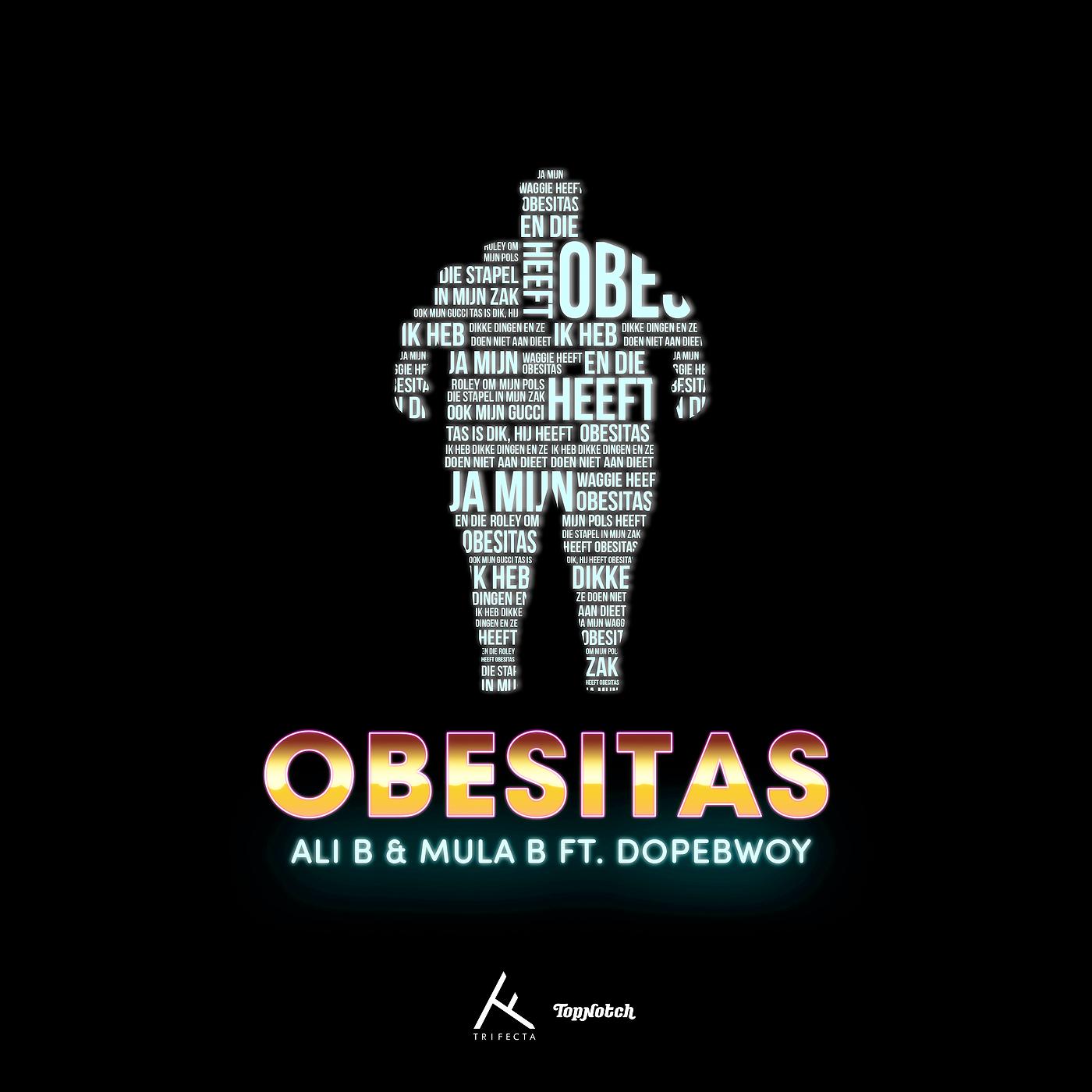 Постер альбома Obesitas