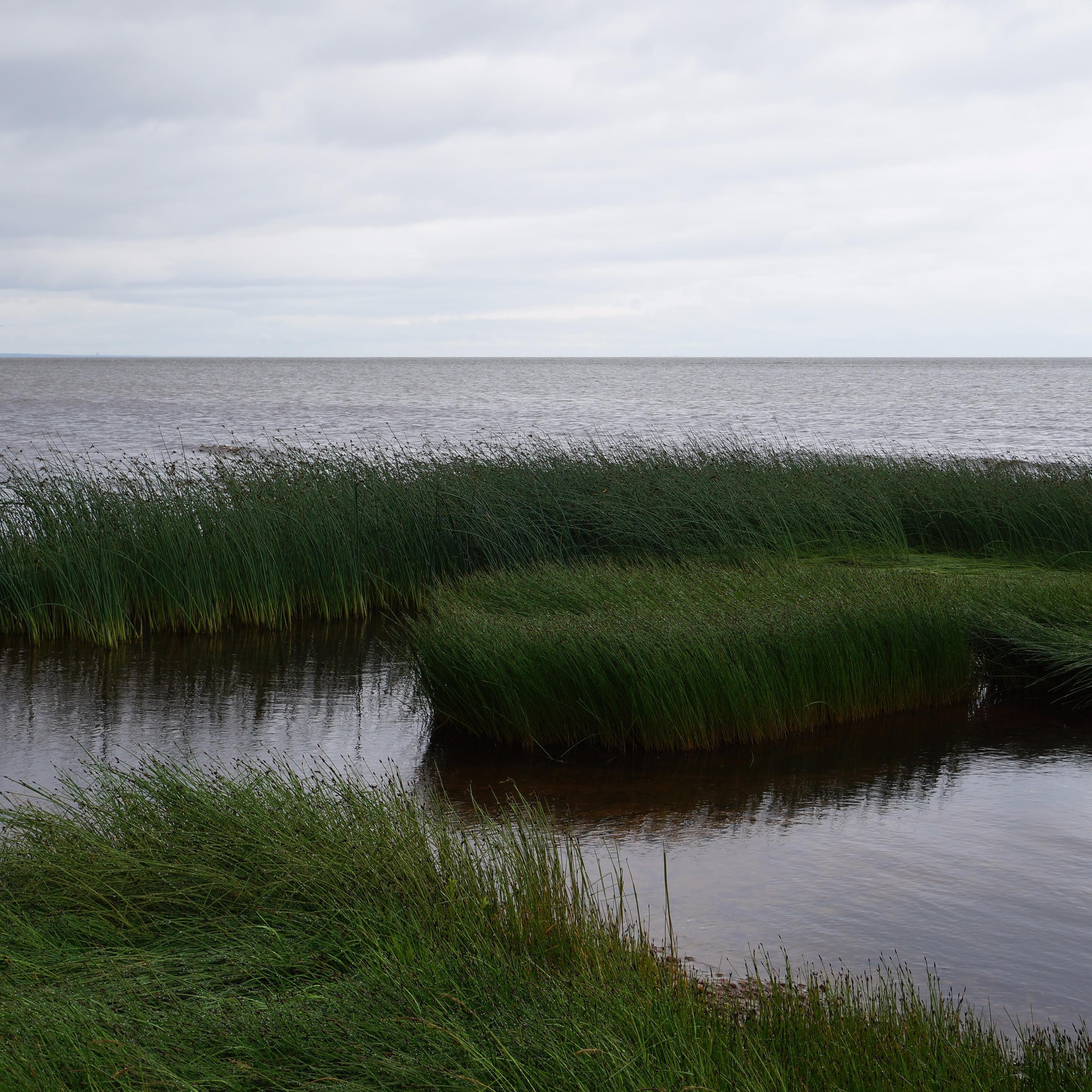 Георгий Музыкантов - Колокольный звон