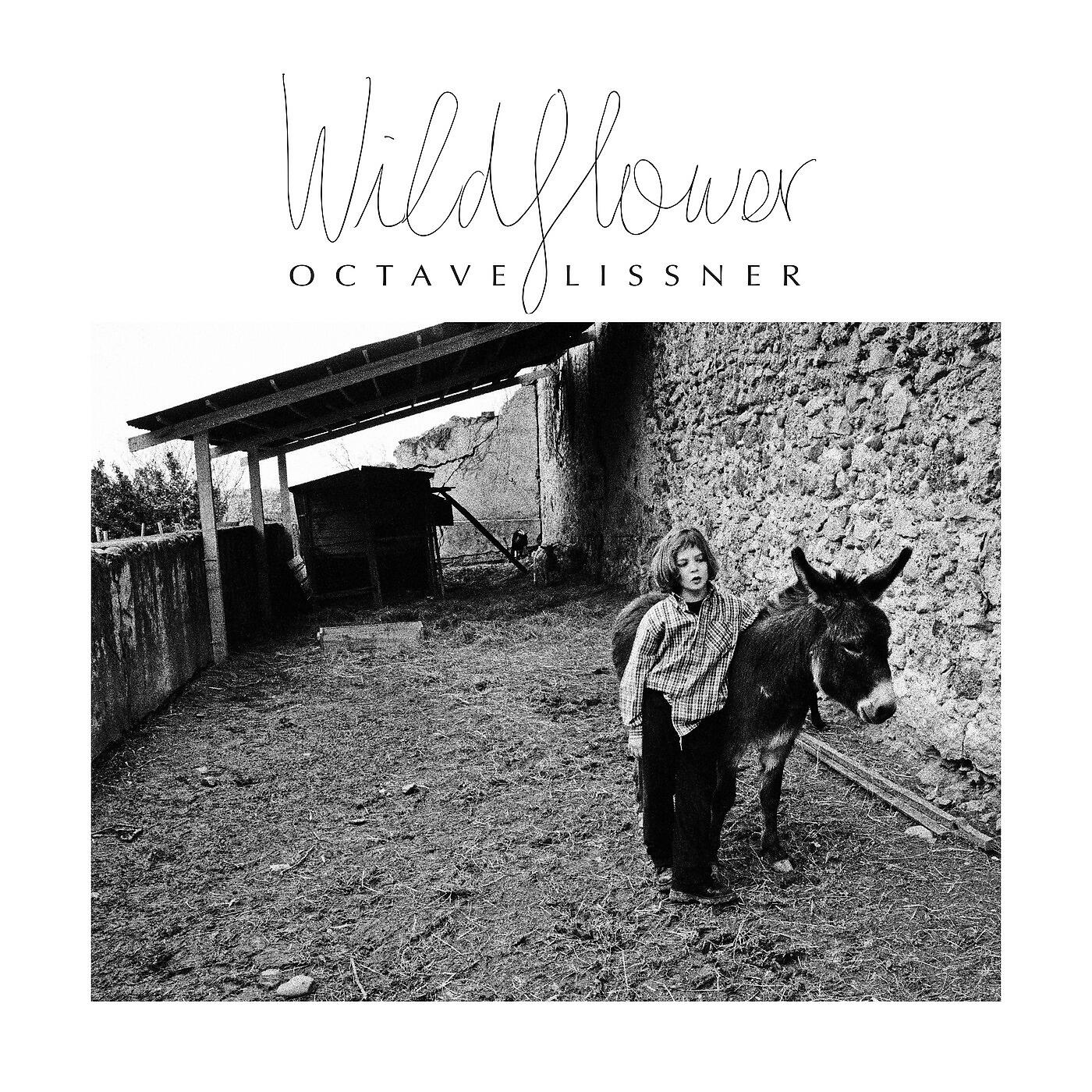 Octave Lissner - Wildflower
