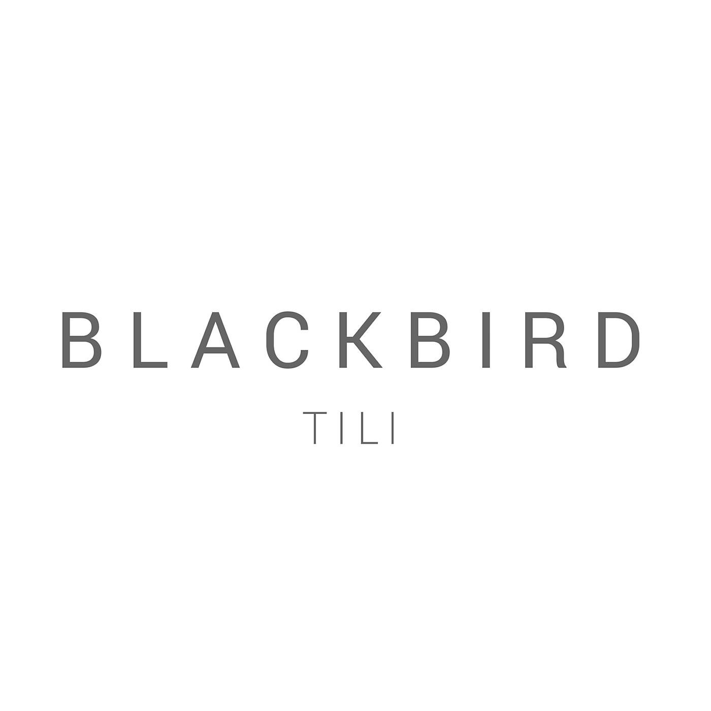 Постер альбома Blackbird (Vocoder Version)