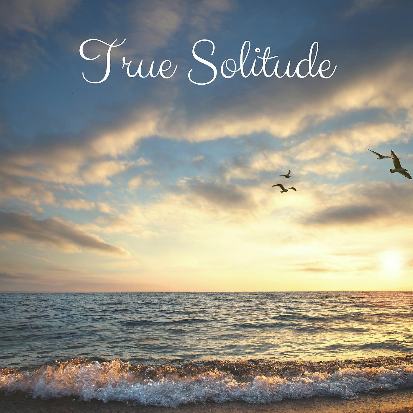 Постер альбома True Solitude