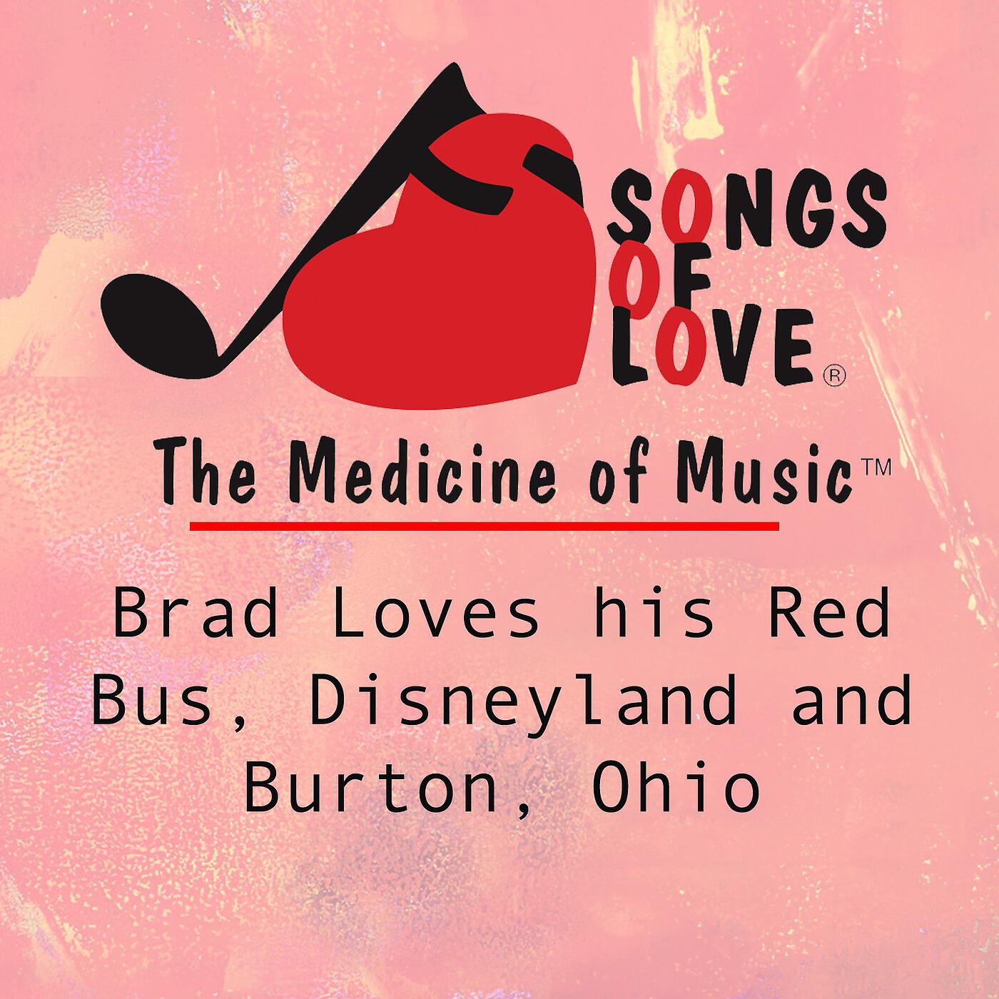 D. Donati - Brad Loves His Red Bus, Disneyland and Burton, Ohio