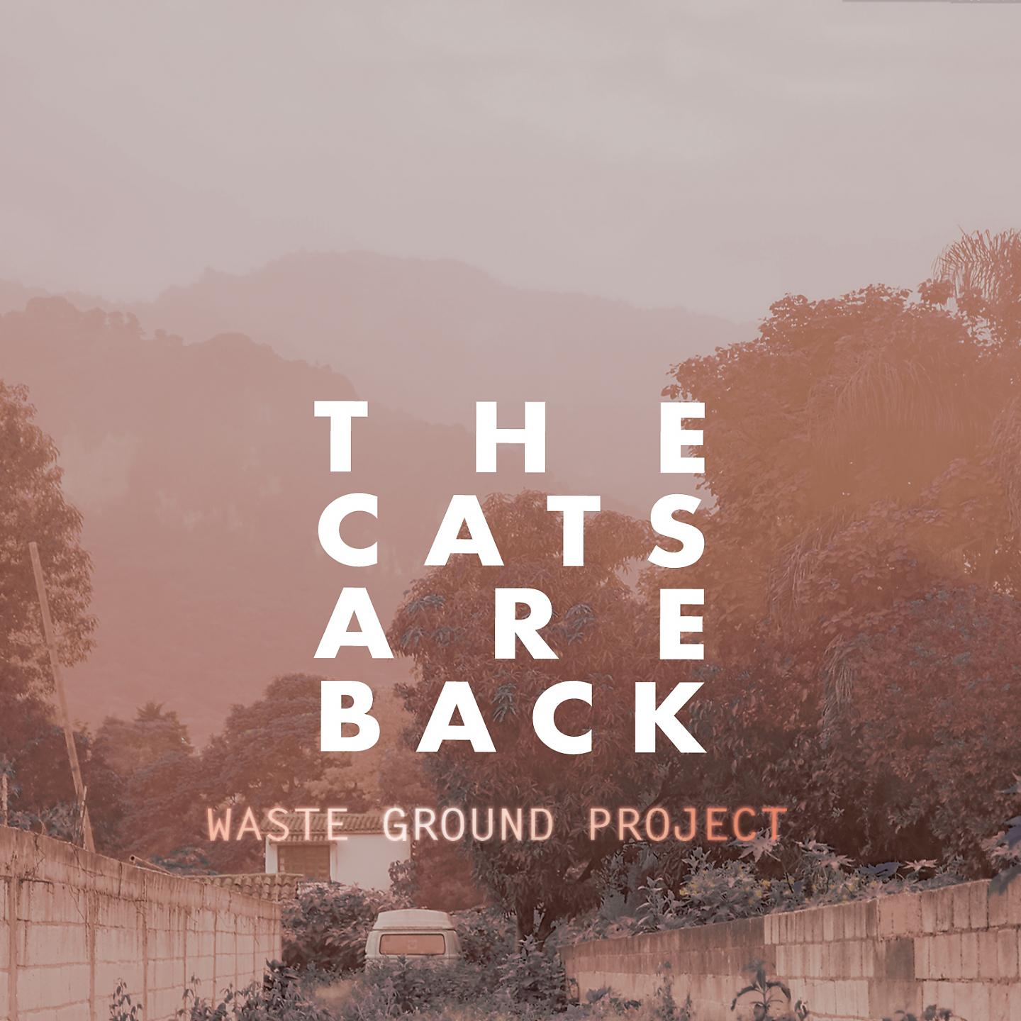 Постер альбома The Cats Are Back
