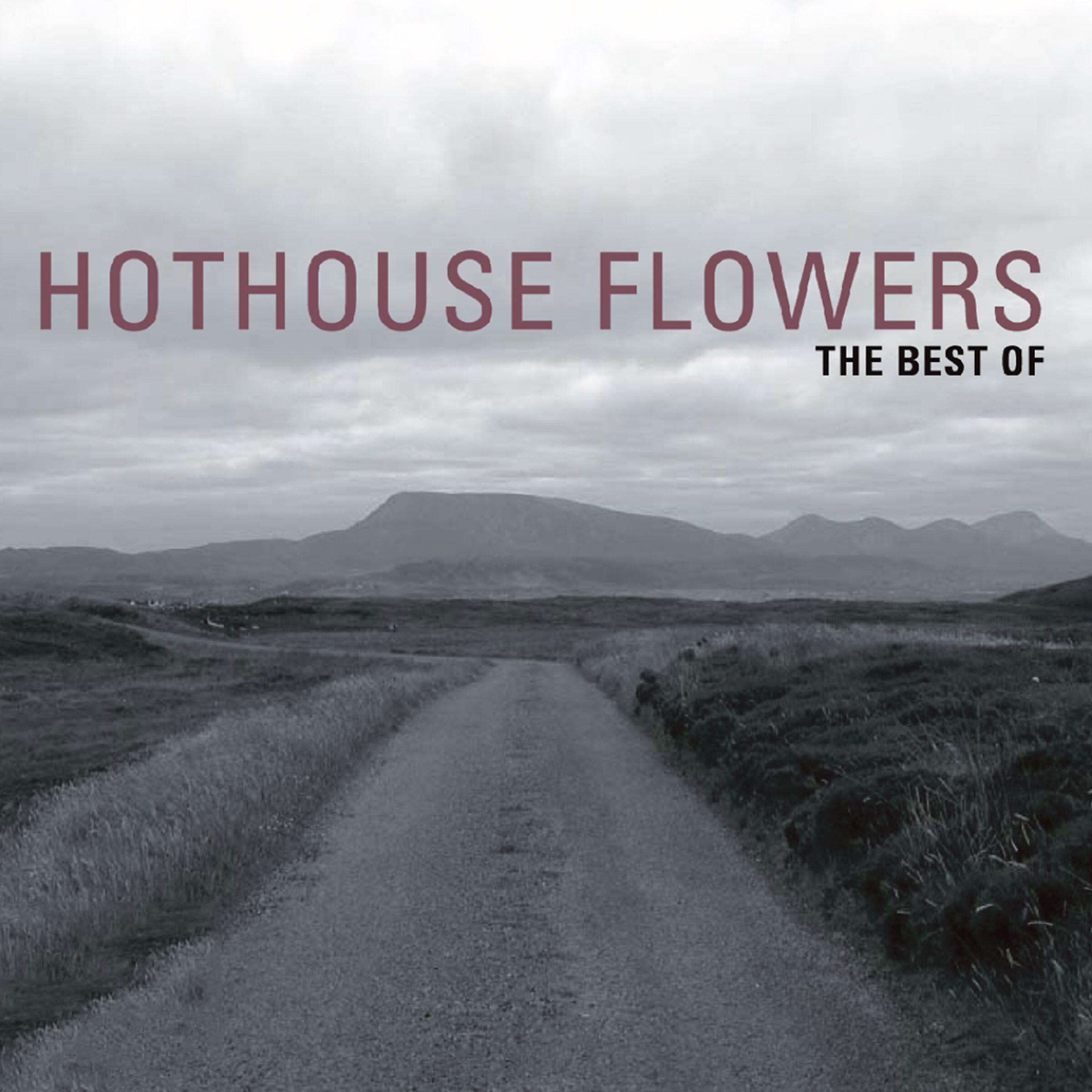 Hothouse Flowers - Movies