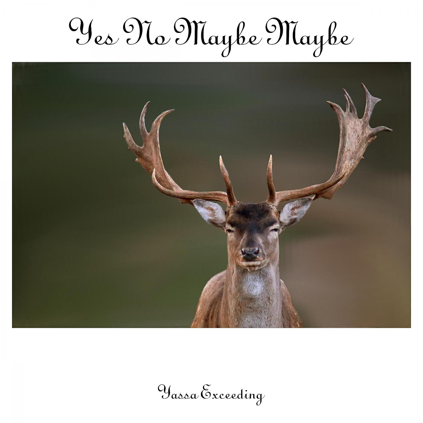 Yassa Exceeding - Tiga