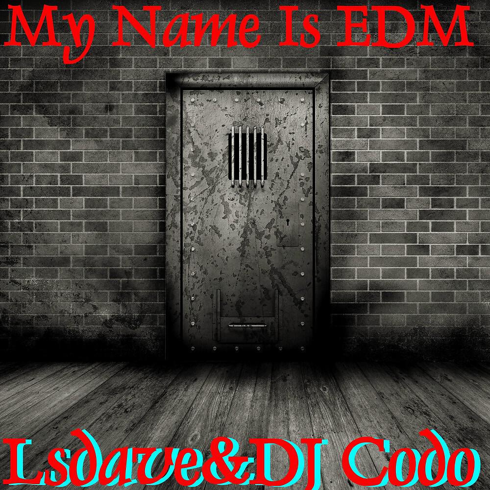 LSDave - Overload