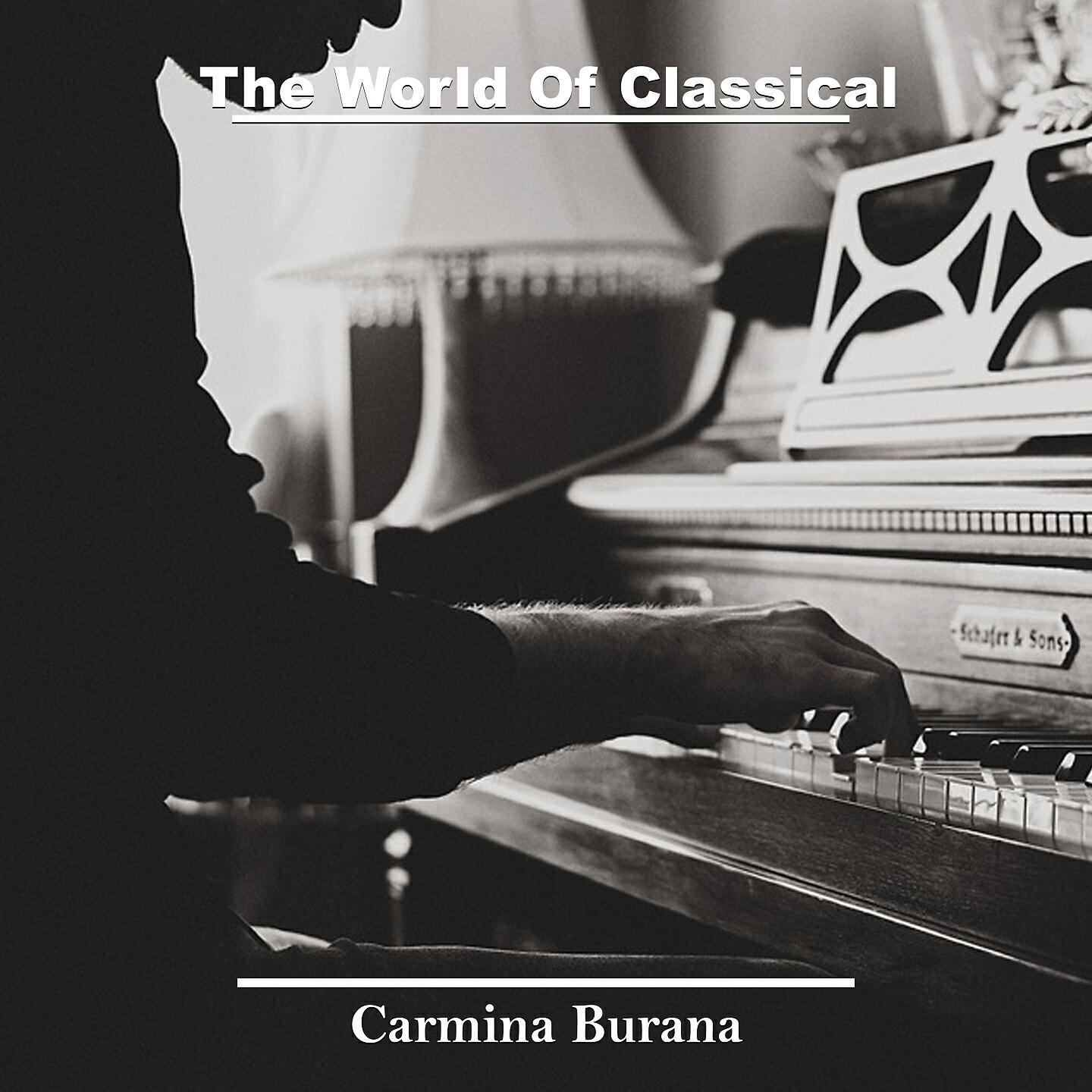 Helmut Walcha (organ) - WTC 1, BWV 851: No. 6 in D Minor, Prelude & Fugue