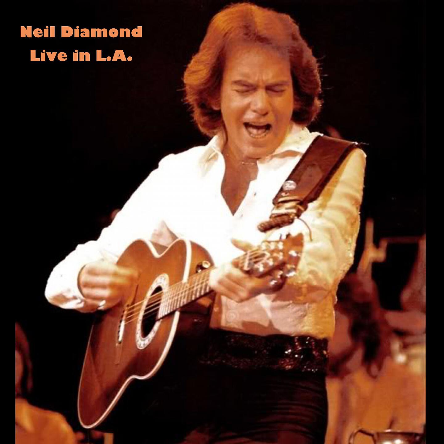 Neil Diamond - I Am, I Said (Live in LA)