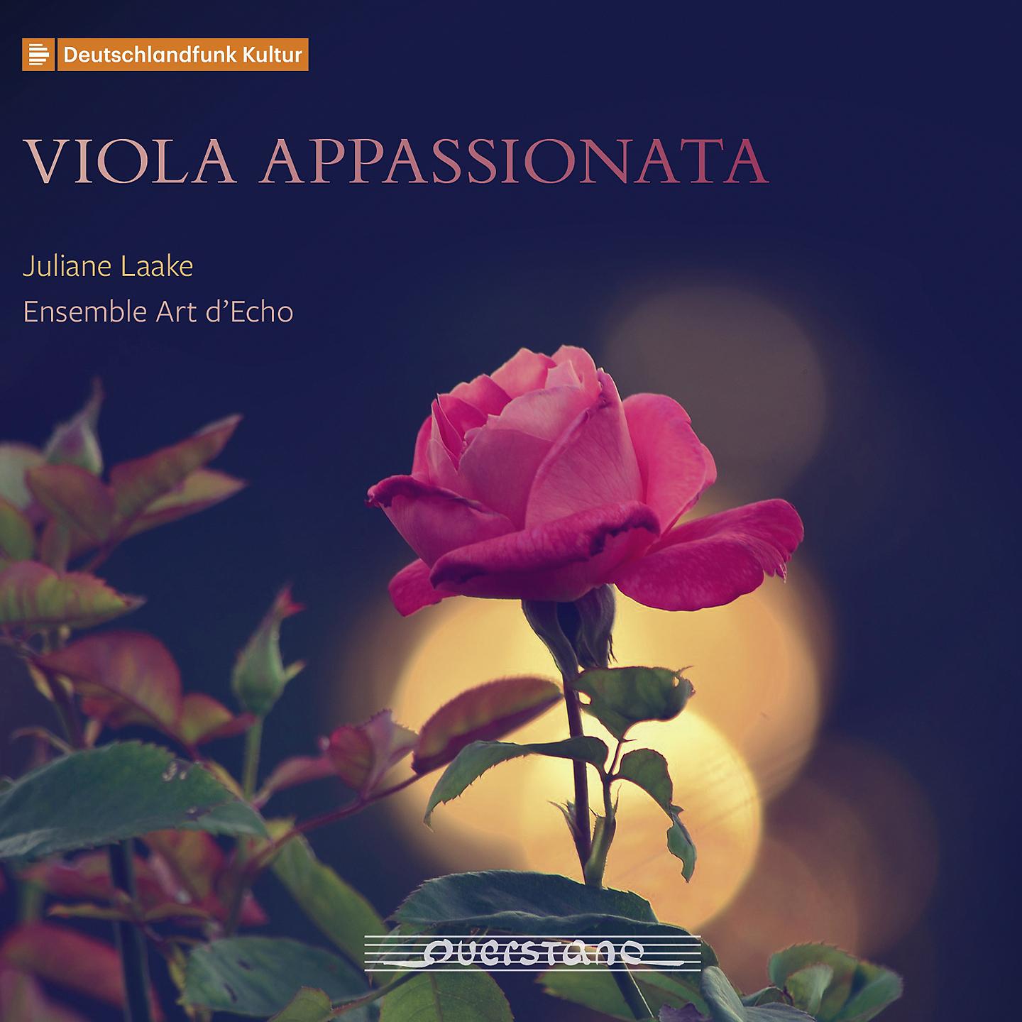 Постер альбома Viola appassionata