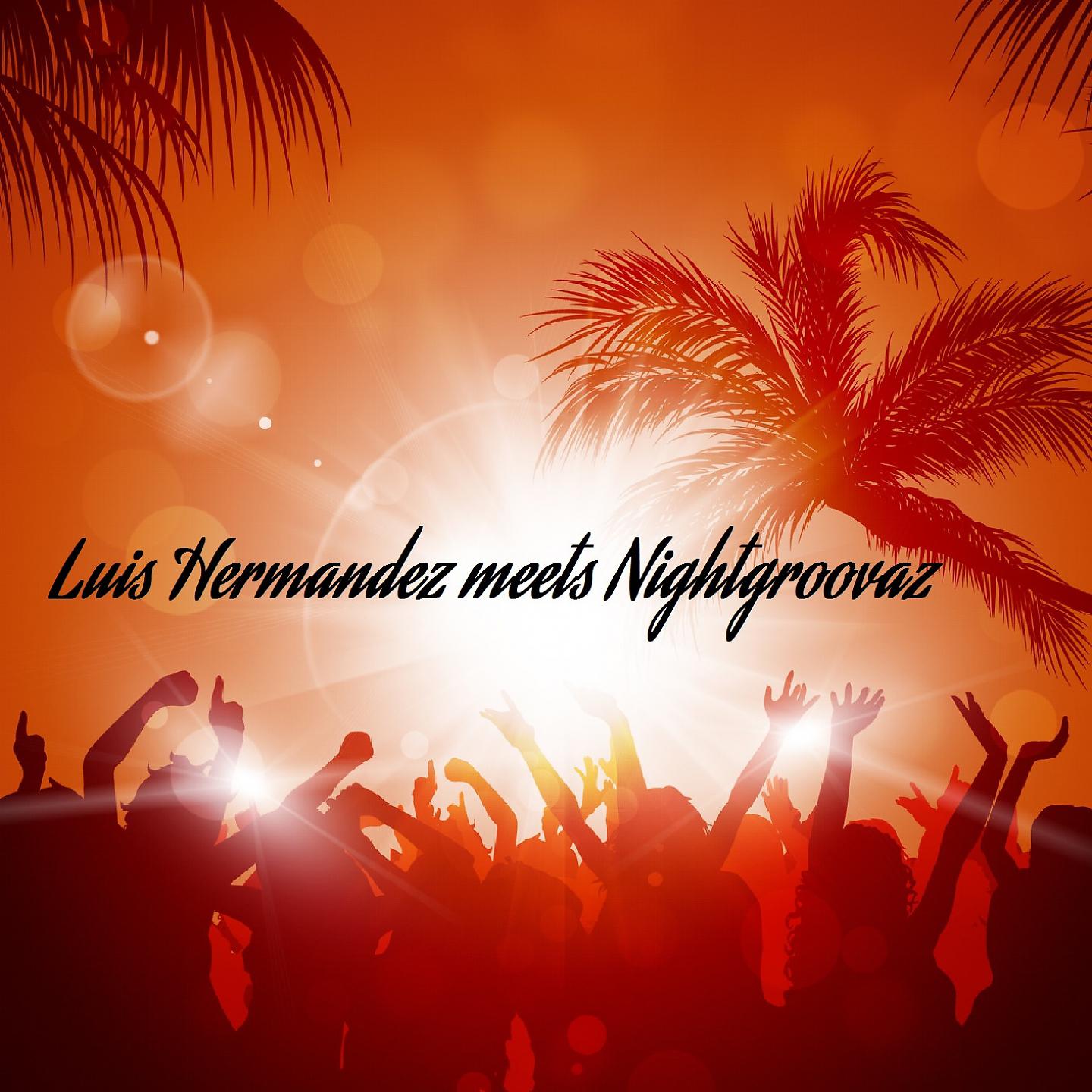Постер альбома Luis Hermandez Meets Nightgroovaz