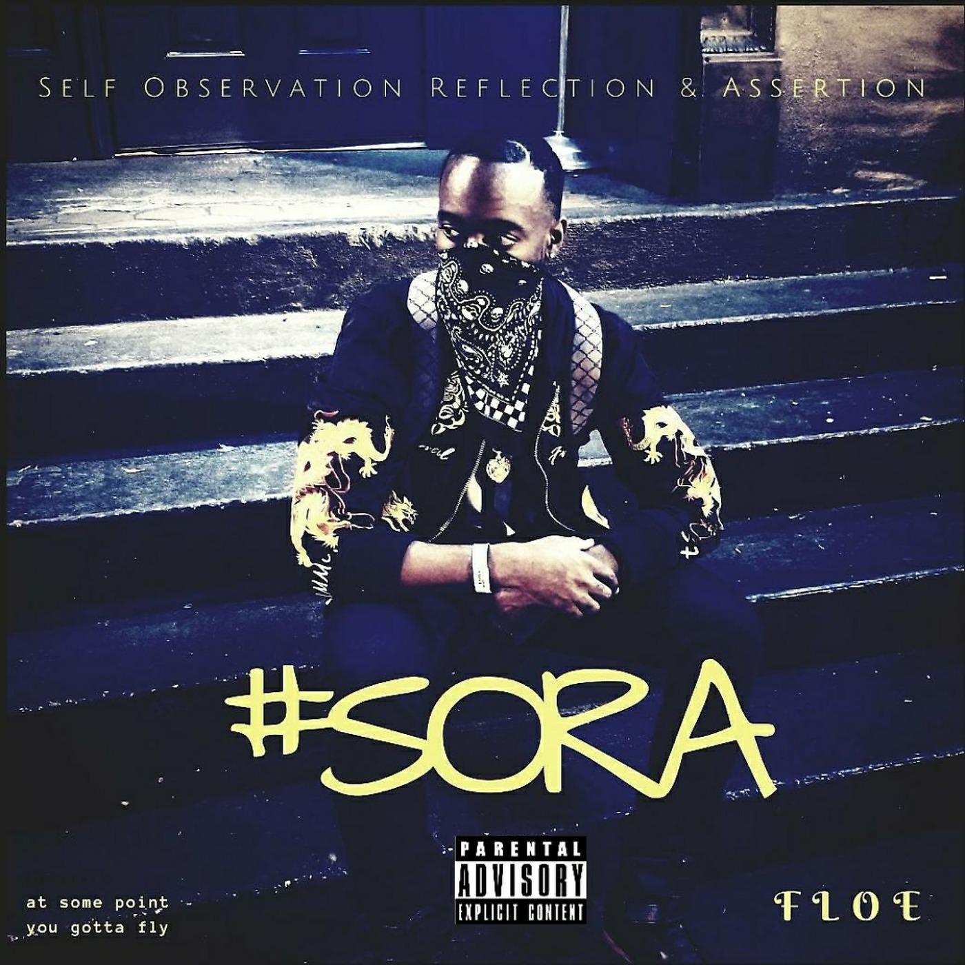 Постер альбома Sora (Self Observation Reflection & Assertion)