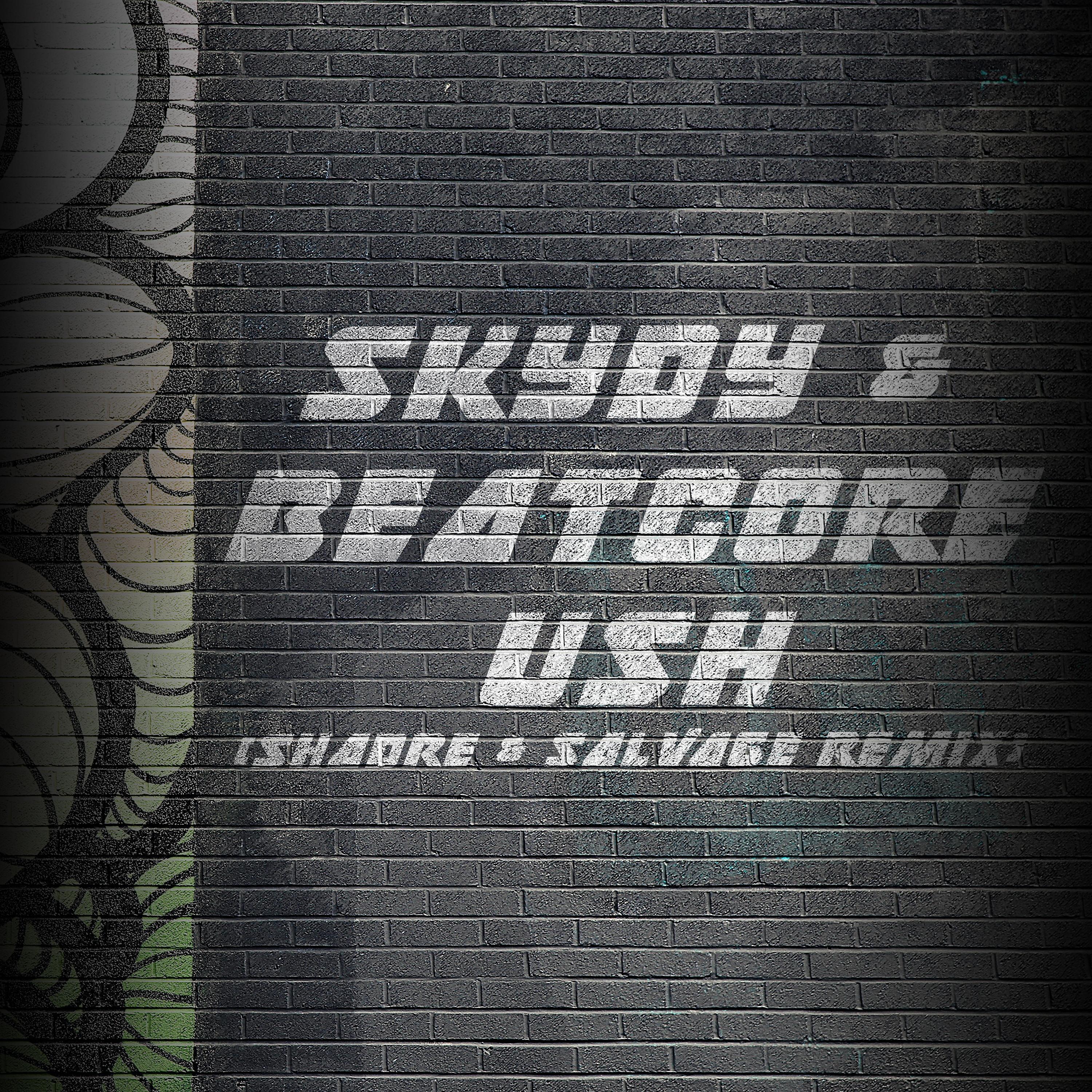 Постер альбома Ush (Shadre & Salvage Remix)