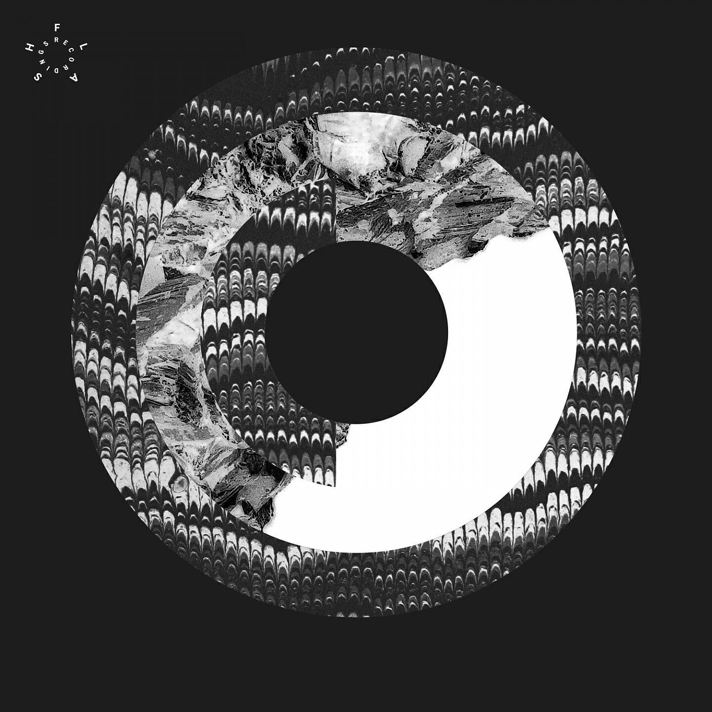 STRISC. - Insekt (Tim Xavier Remix)