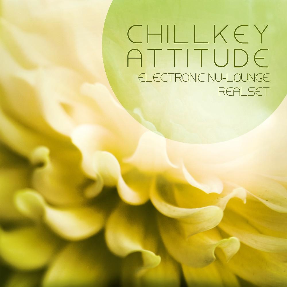 Постер альбома Chillkey Attitude (Electronic Nu-Lounge Realset Rebuild)