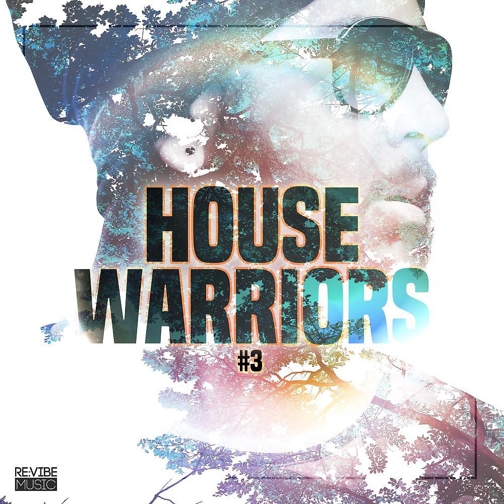 Постер альбома House Warriors #3