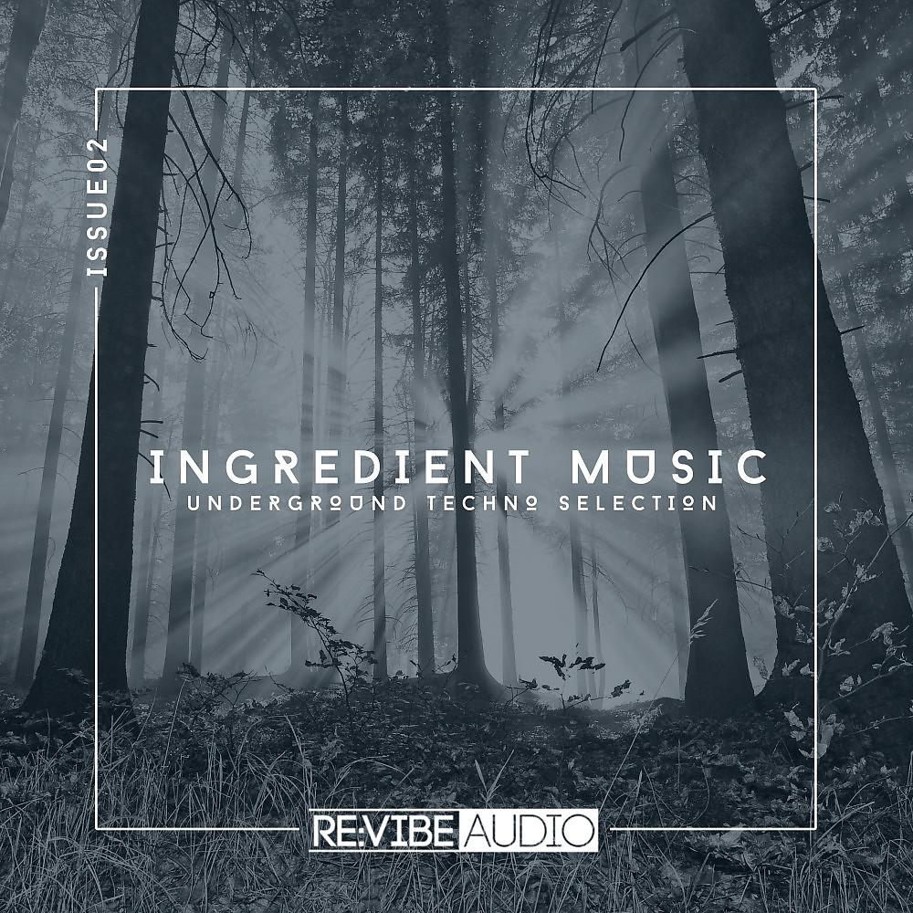 Постер альбома Ingredient Music, Vol. 2