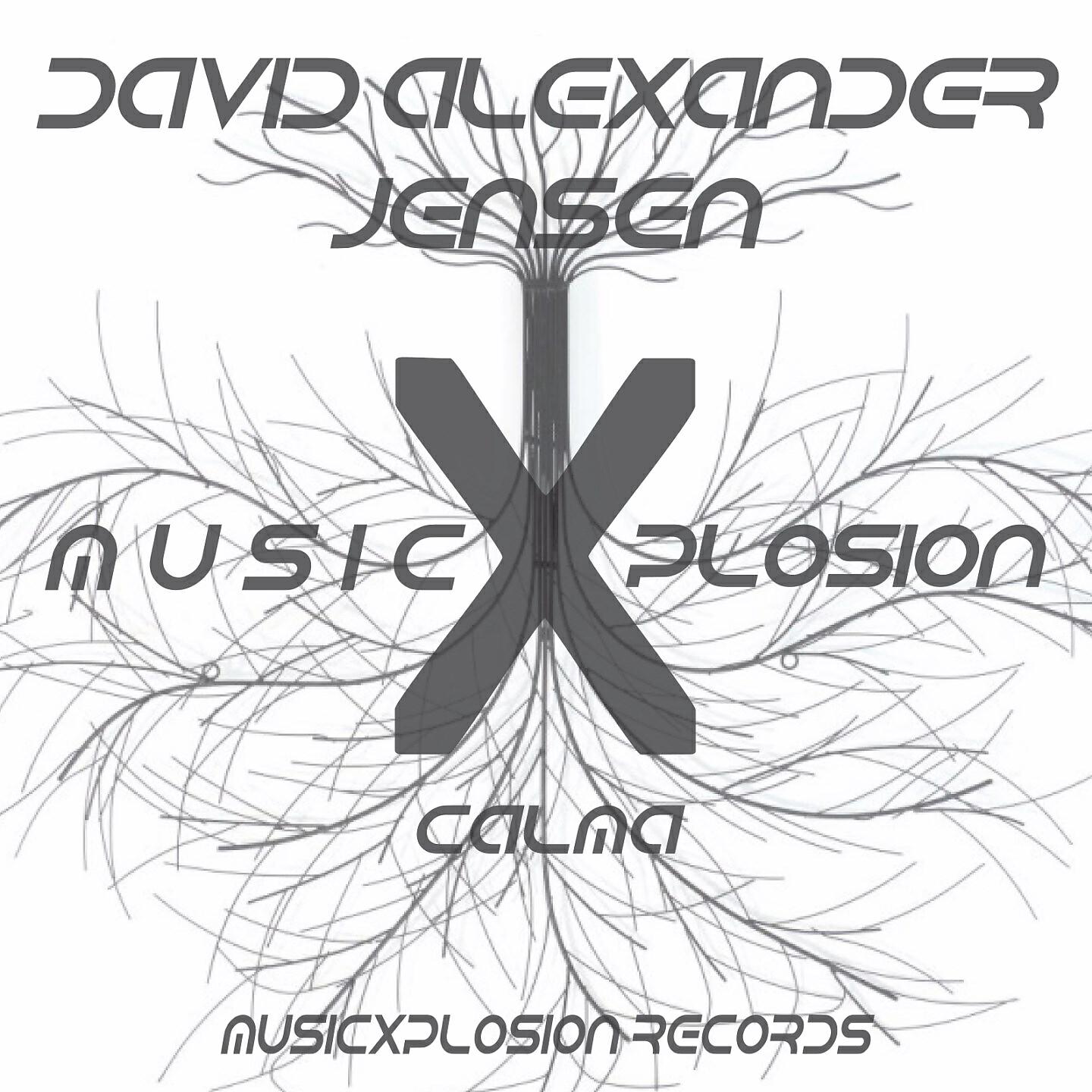 David Alexander Jensen - Calma (Radio Edit)