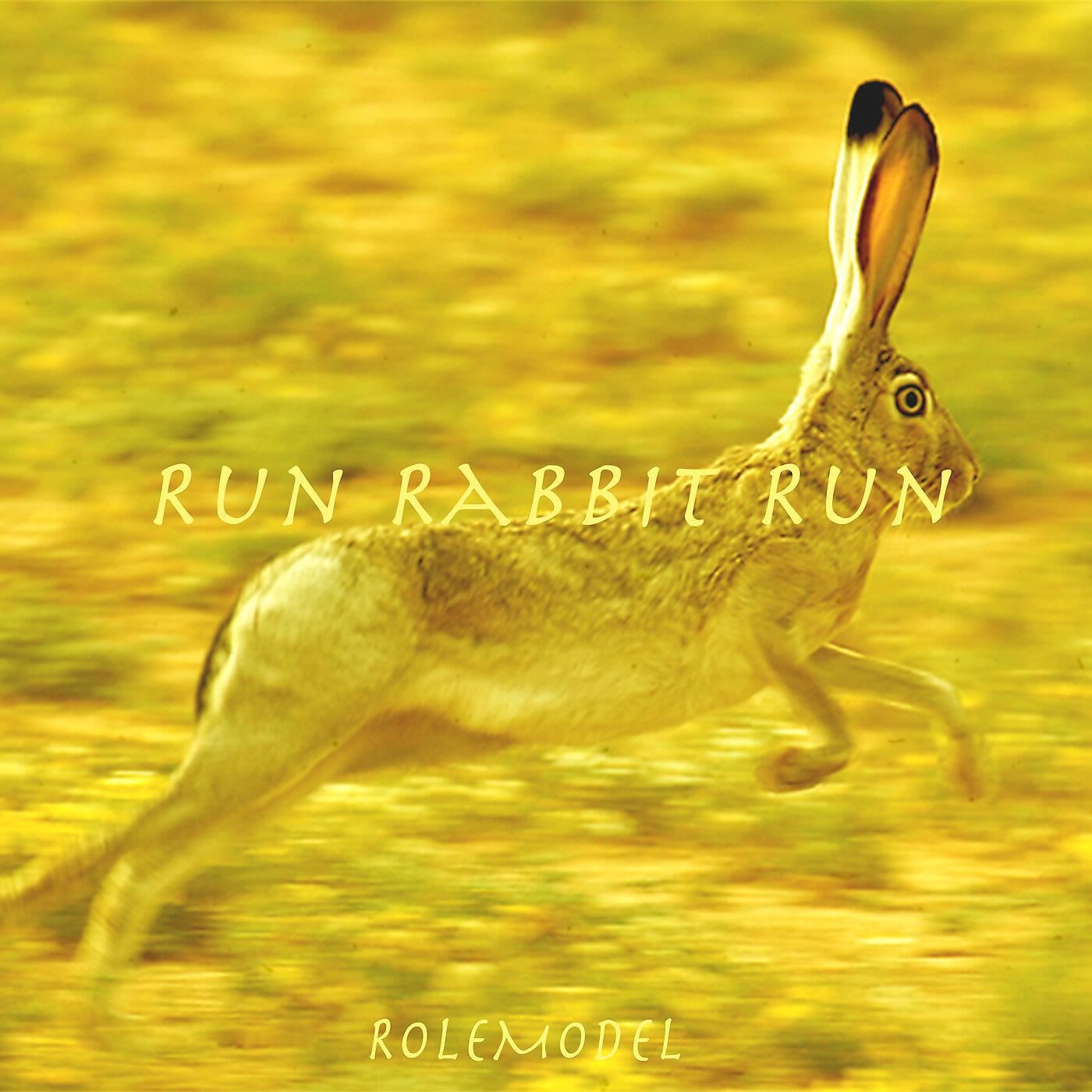 RoleModel - Run Rabbit Run