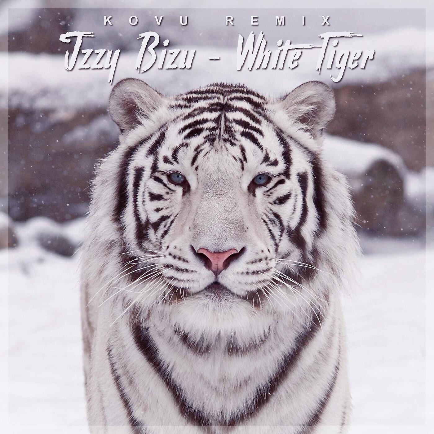 Darius - Izzy Bizu (White Tiger) [Kovu Remix]