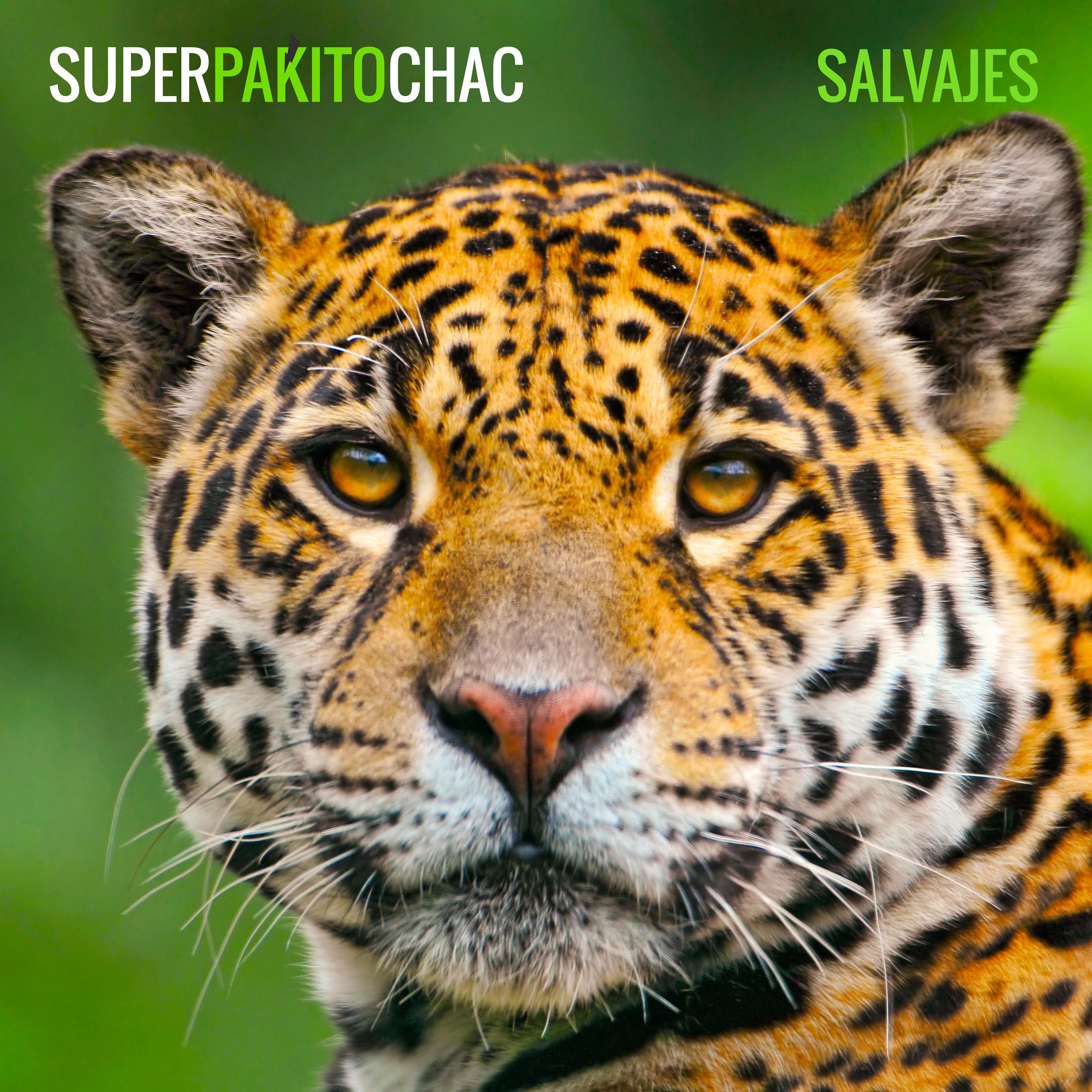 Постер альбома Salvajes