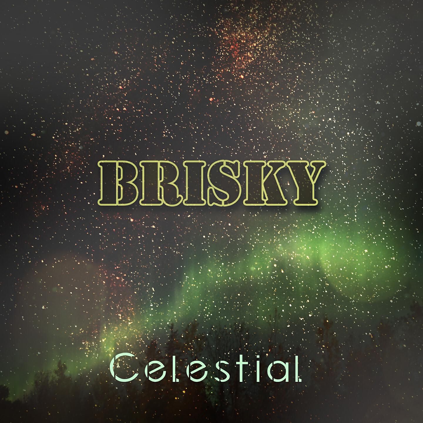 Brisky - John O Callaghan