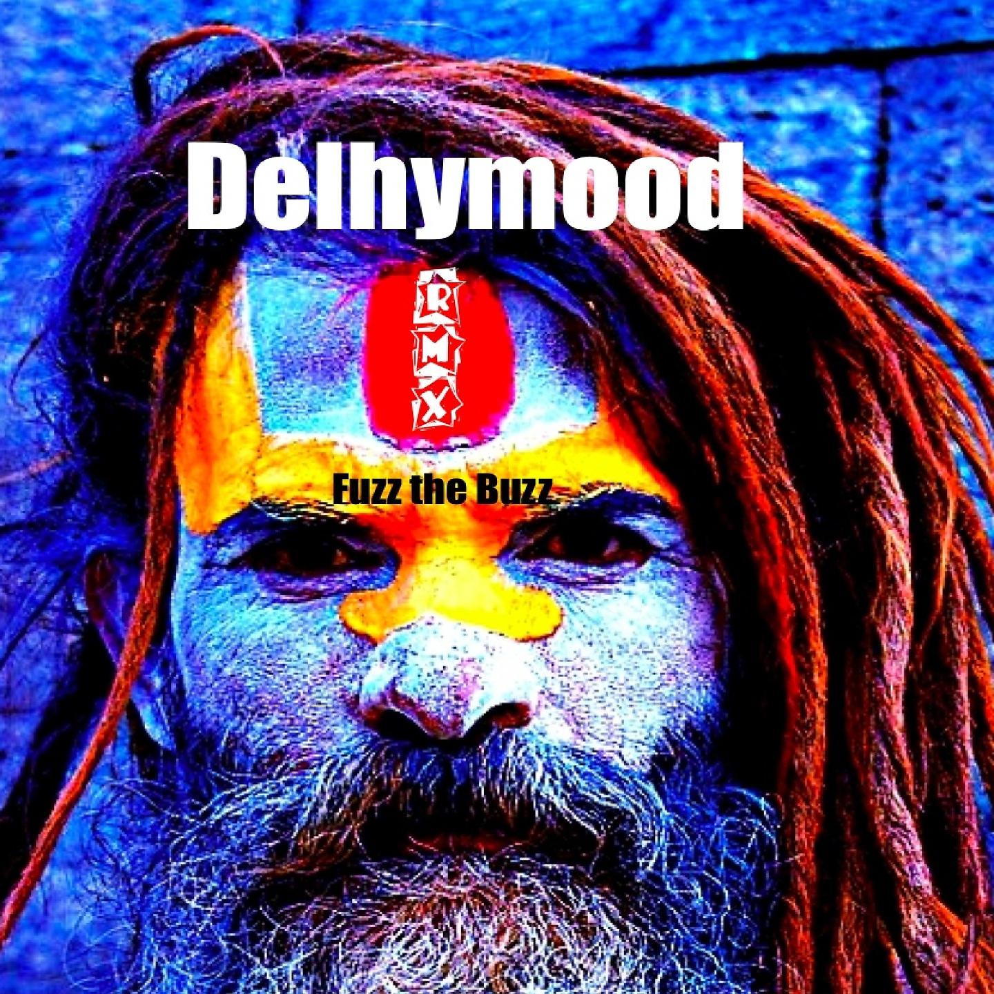 Постер альбома Delhymood