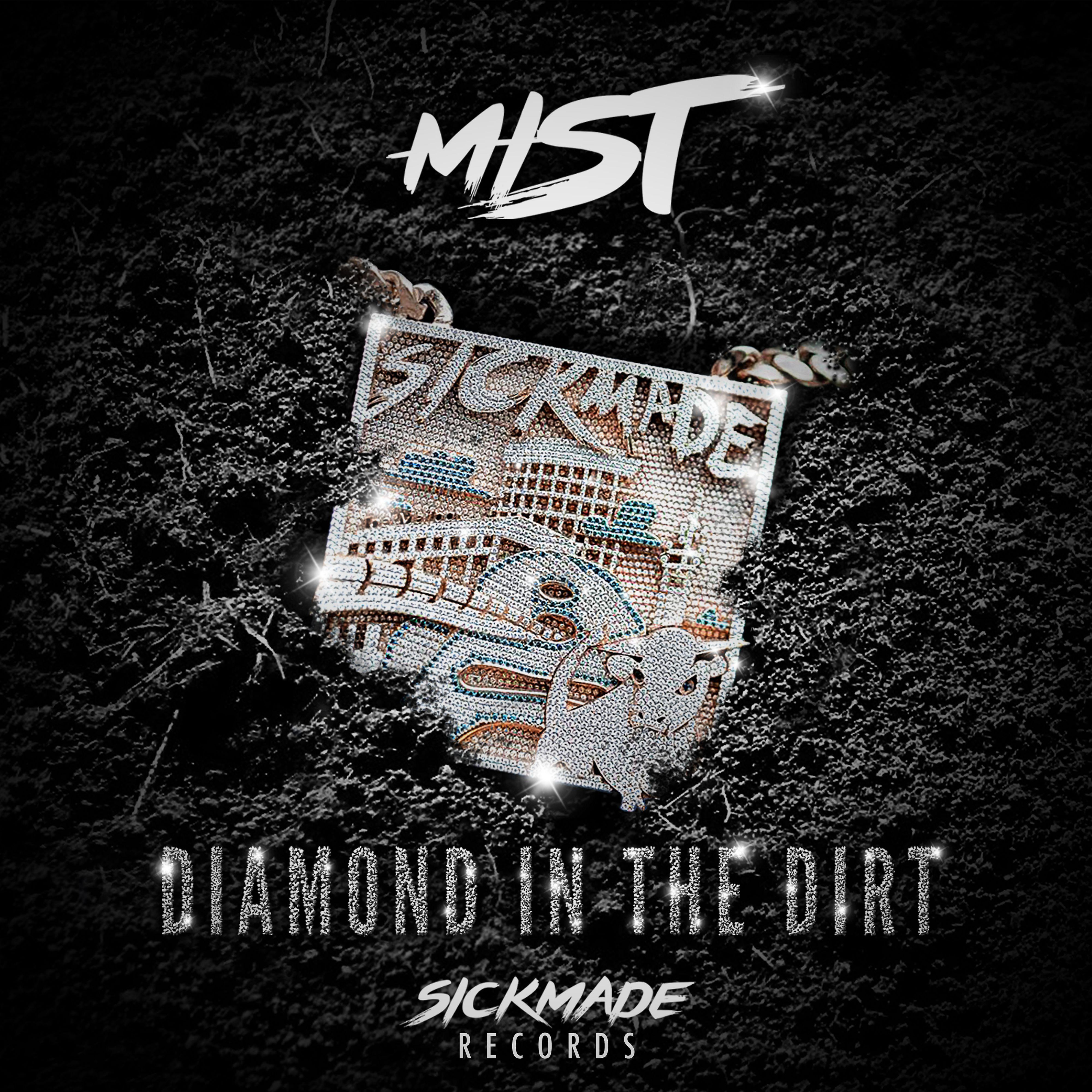 Постер альбома Diamond in the Dirt