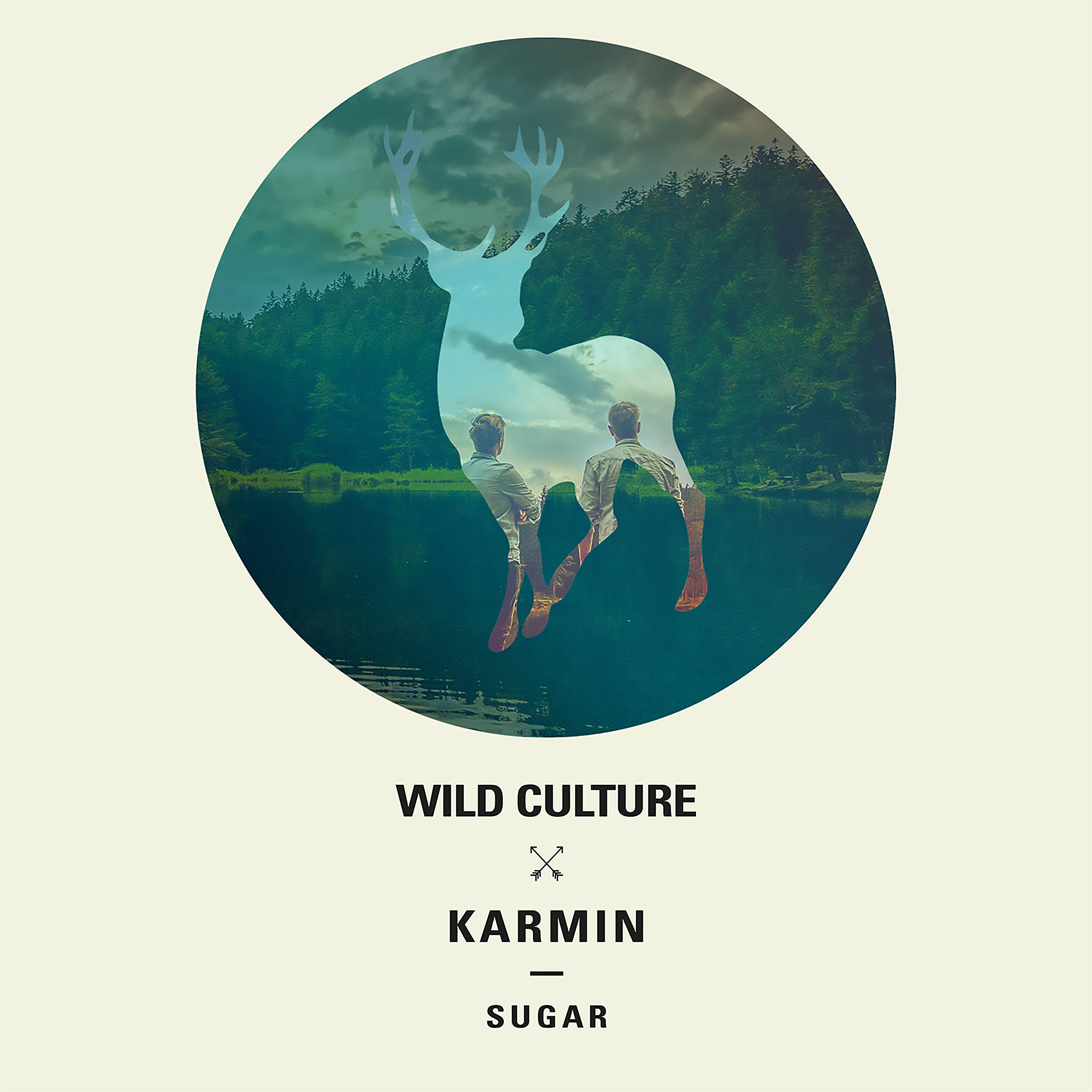 Wild Culture - Sugar (Wild Culture vs. Karmin) [Averro Remix] (Wild Culture vs. Karmin;Averro Remix)