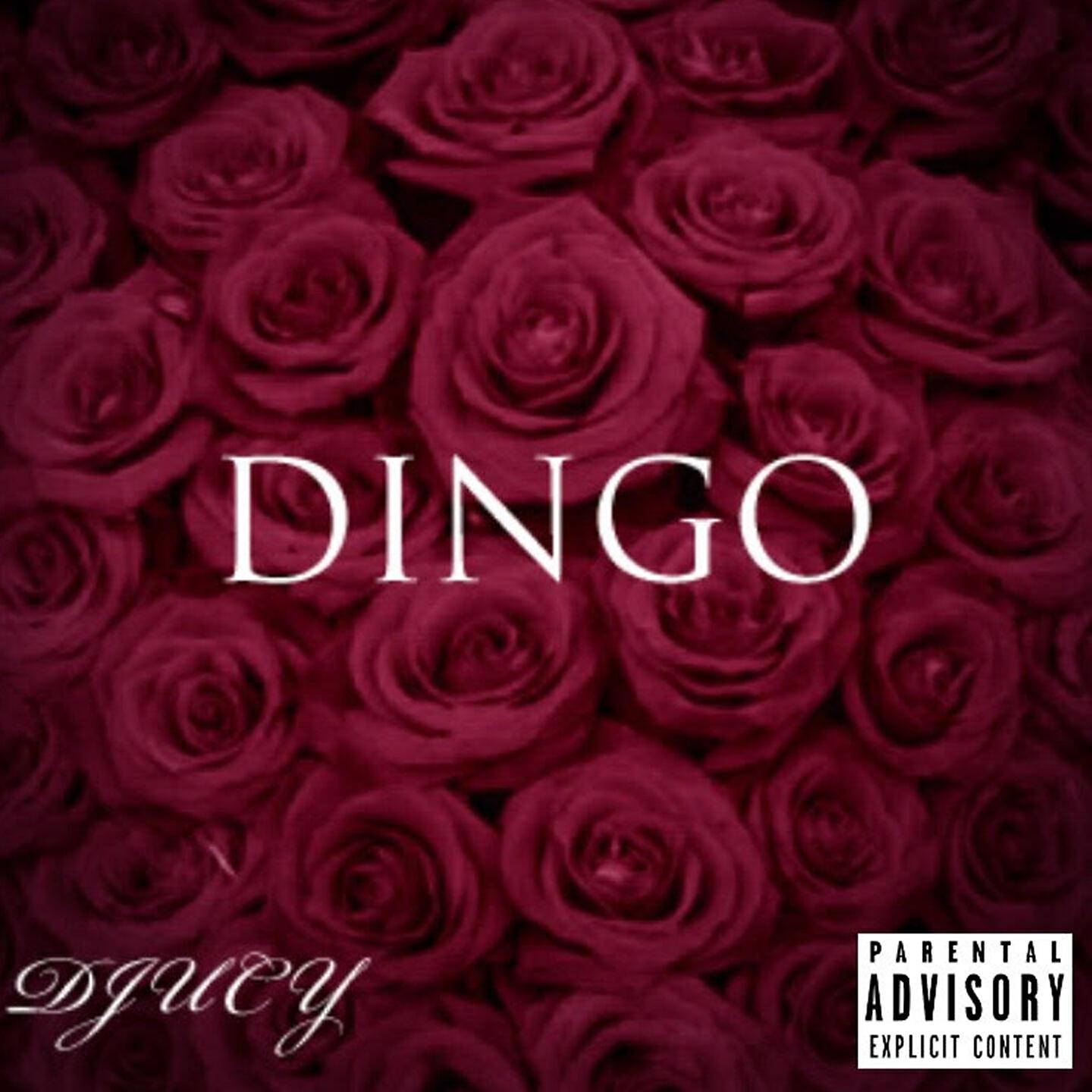 DJucy - Dingo