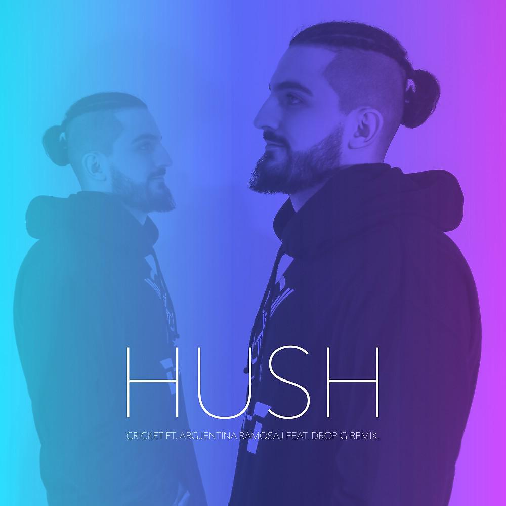 Постер альбома Hush (Drop-G Remix)