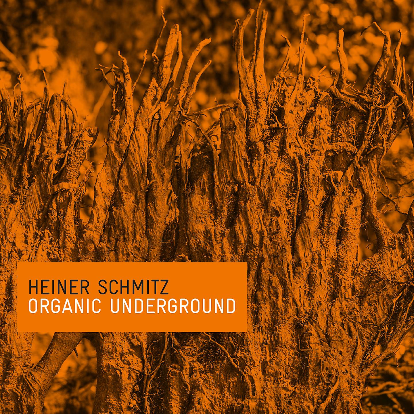 Постер альбома Organic Underground
