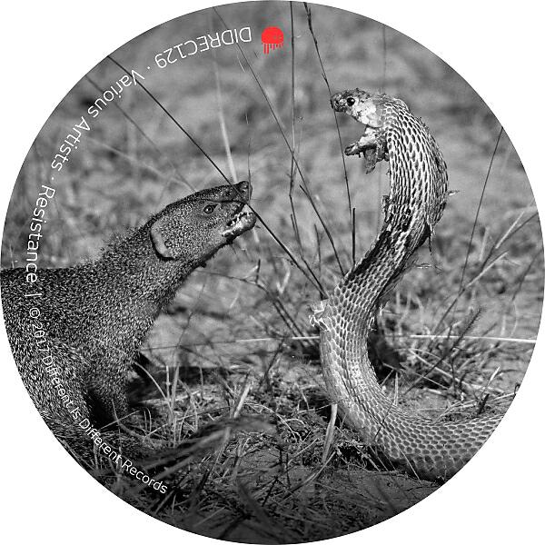 Greencross - The Children Of The Python (Angel's 'Snake Jack' Rebuild)
