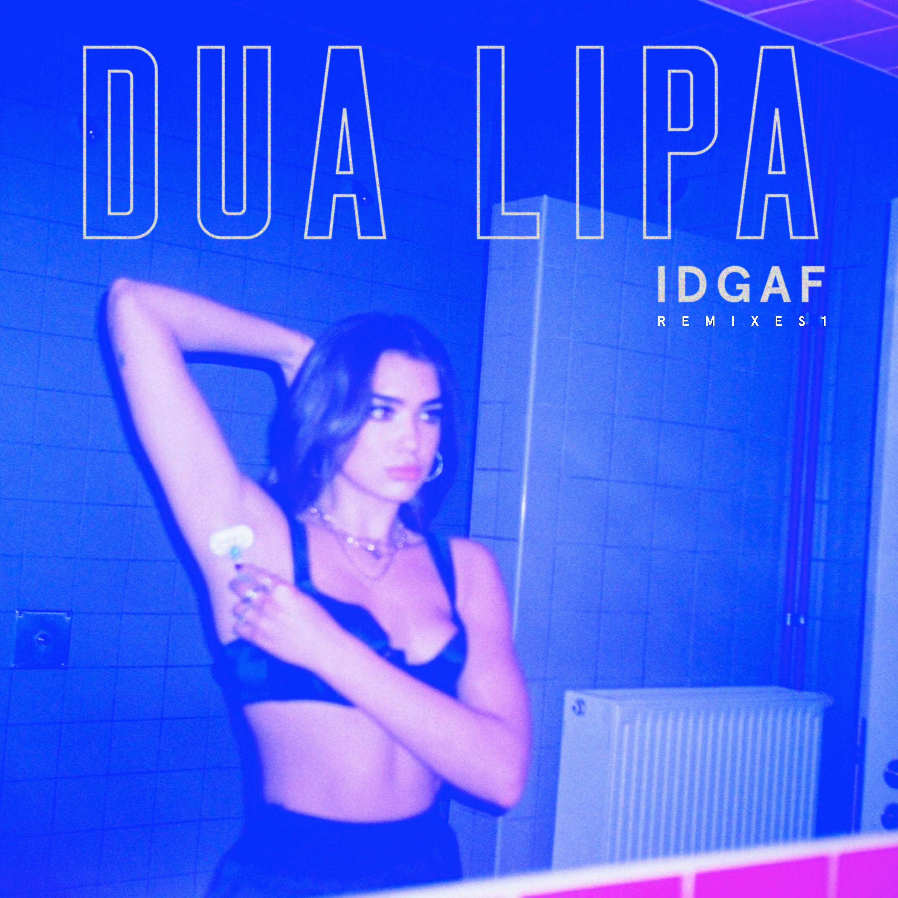 Постер альбома IDGAF (Remixes)
