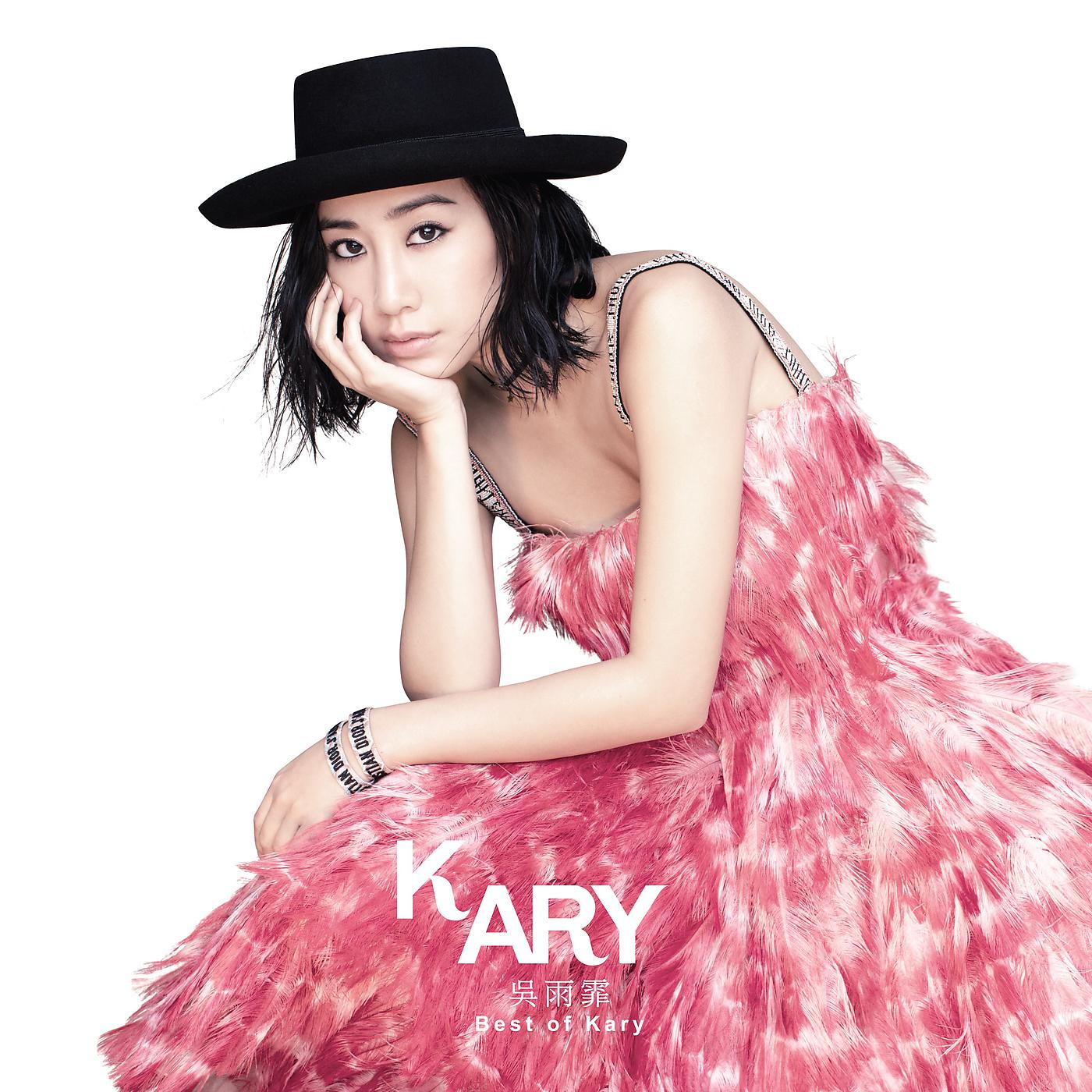 Постер альбома Best of Kary