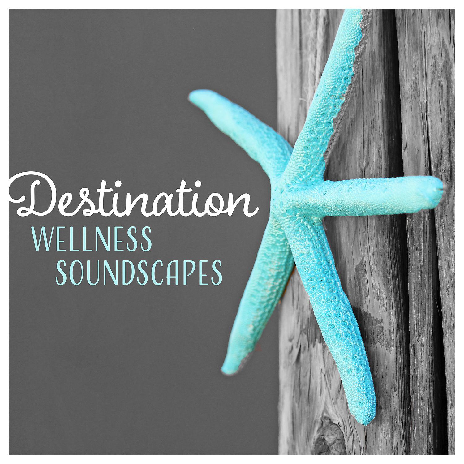 Постер альбома Destination Wellness Soundscapes – Peaceful Spa Session, Calm Music, Rejuvenation, Beauty Center, Ayurveda, Total Relax