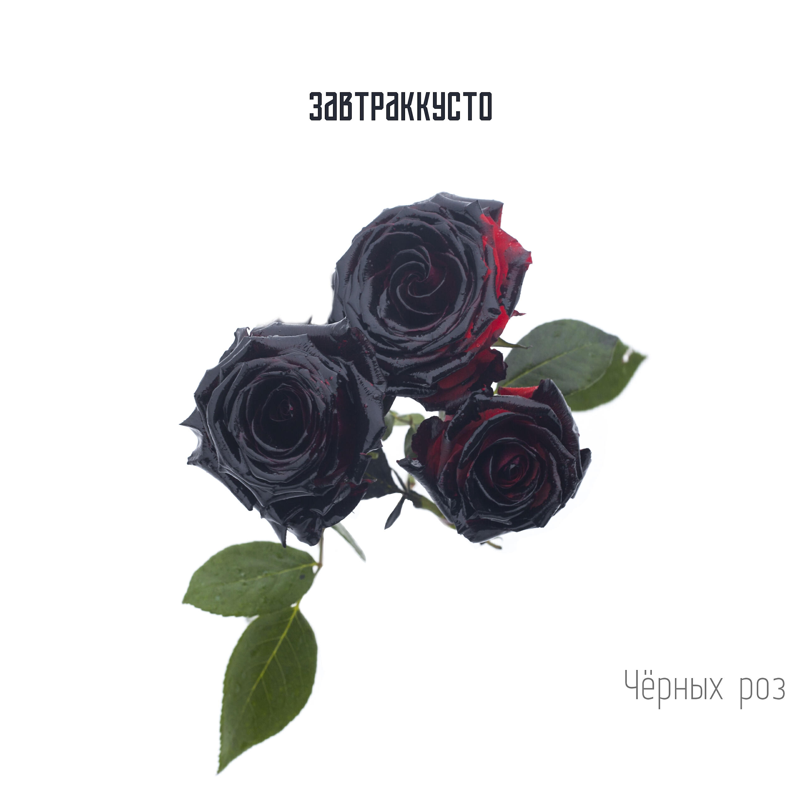 Завтраккусто - Чёрных роз