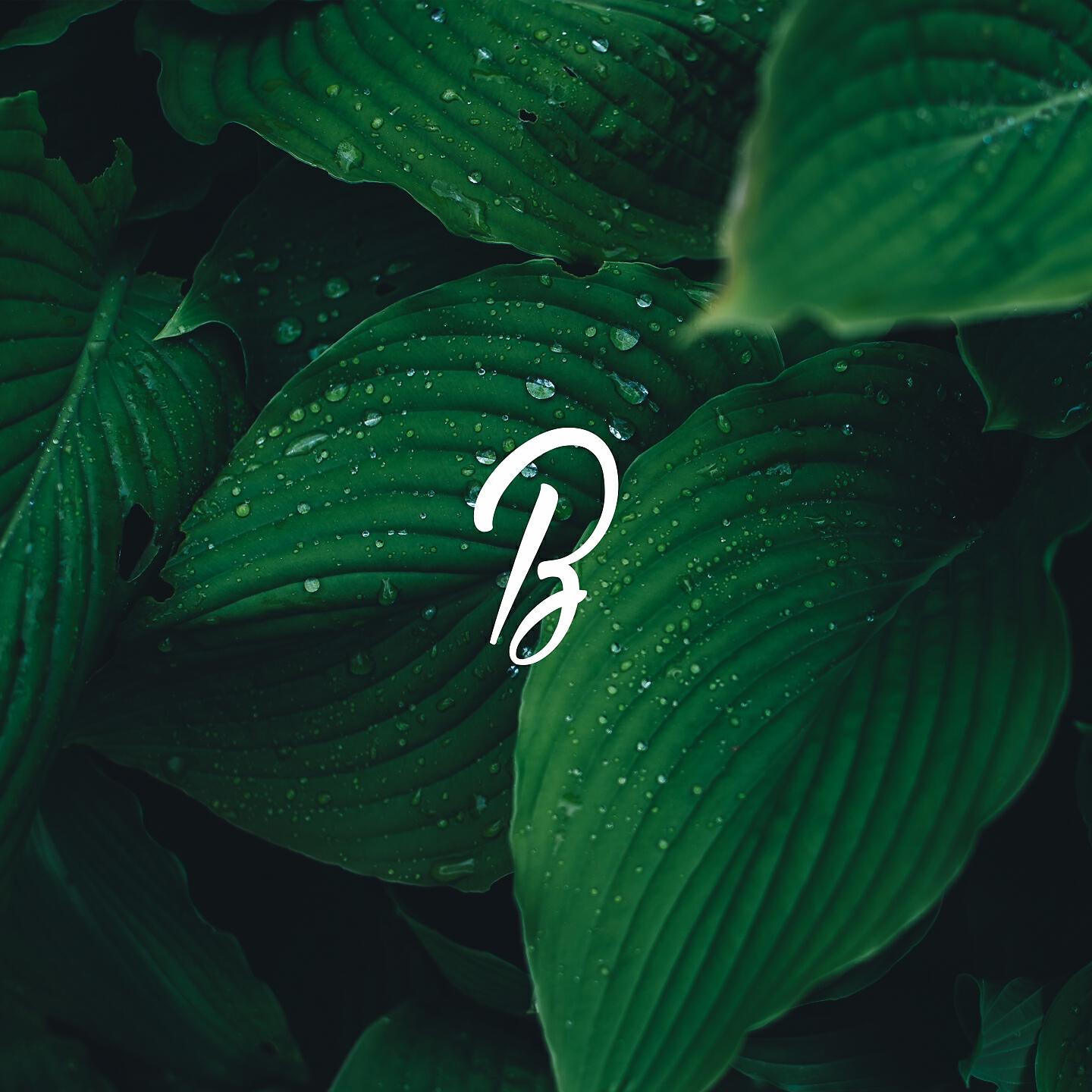 Blunted Beatz - Just a Moment