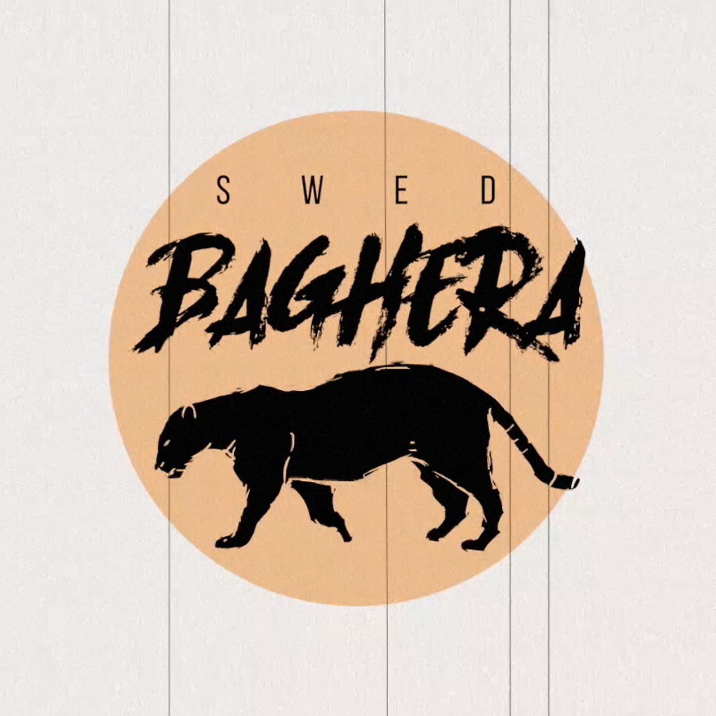 Постер альбома Baghera