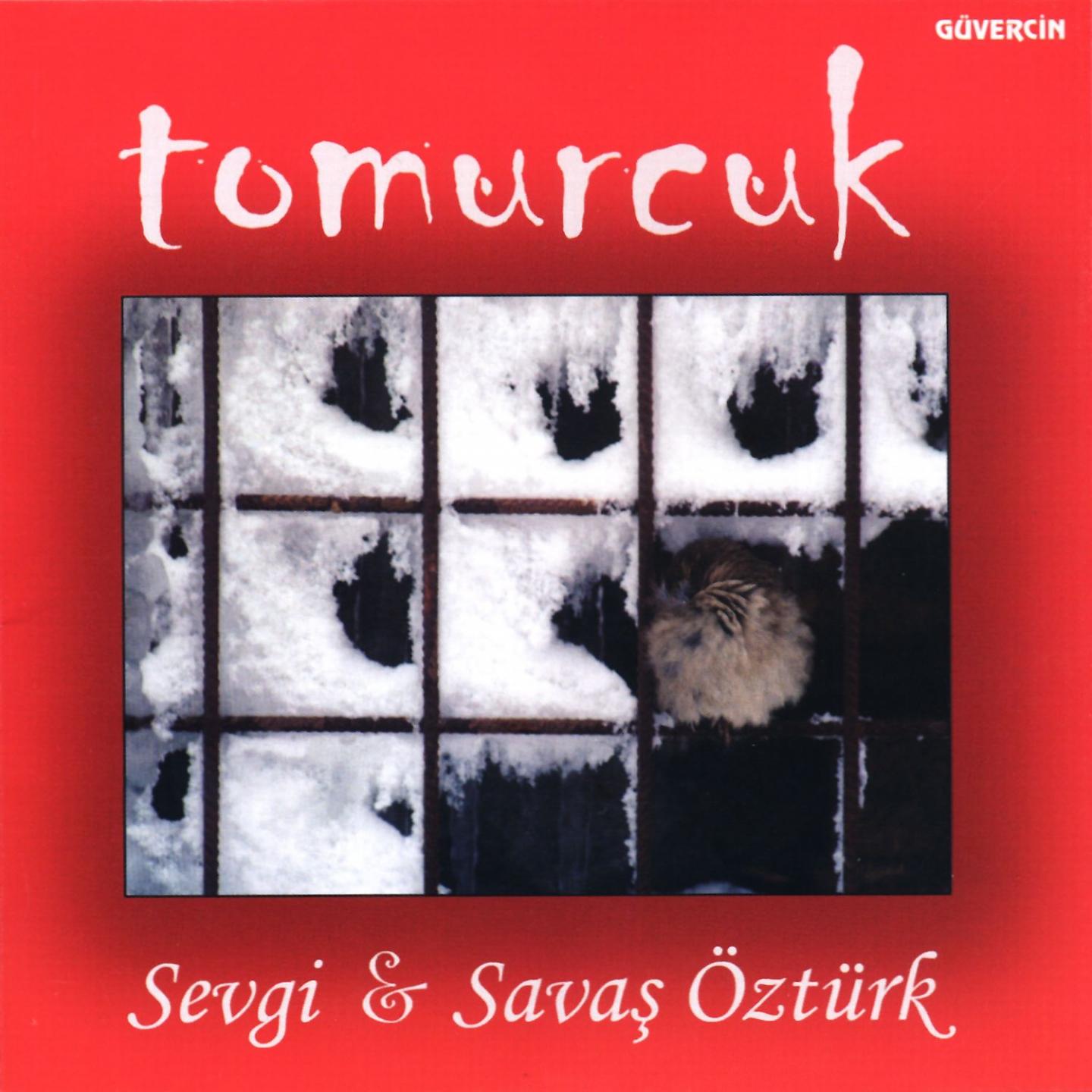 Постер альбома Tomurcuk