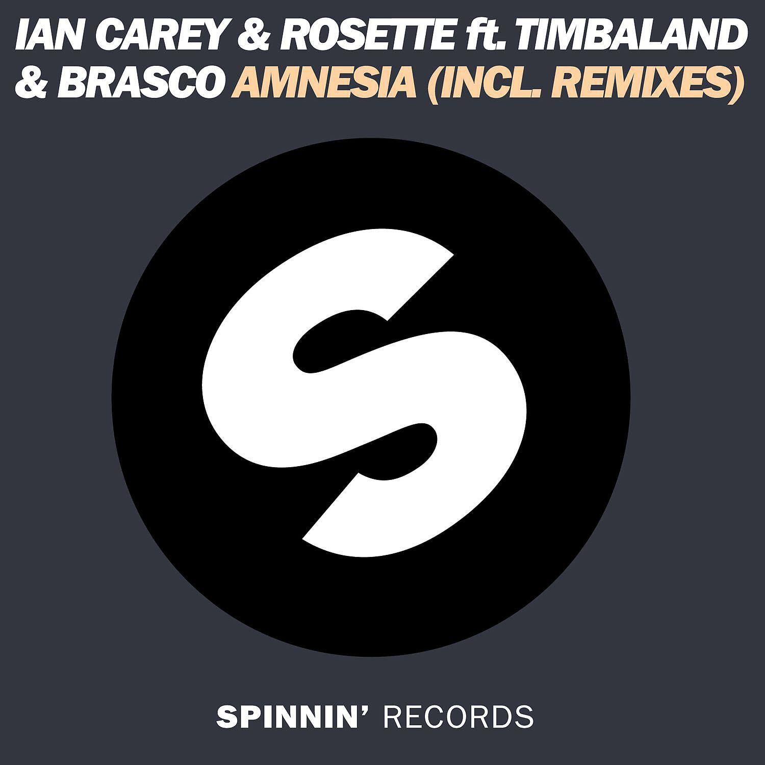 Ian Carey - Amnesia (feat. Timbaland & Brasco) [Ziggy Stardust Remix]