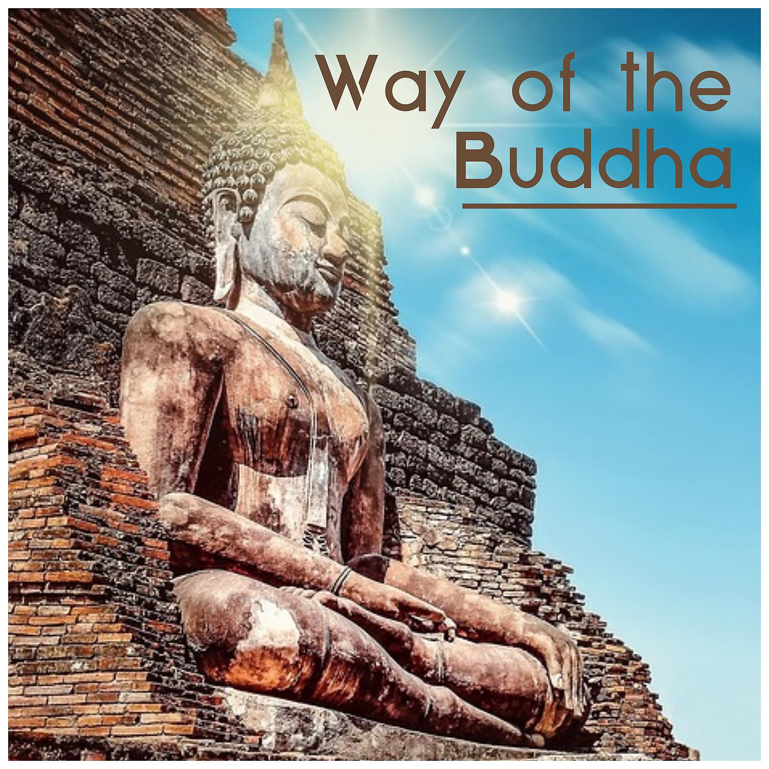 Постер альбома Way of the Buddha - Quiet Breath, New Energy, Pure Mind, Rest by Meditations