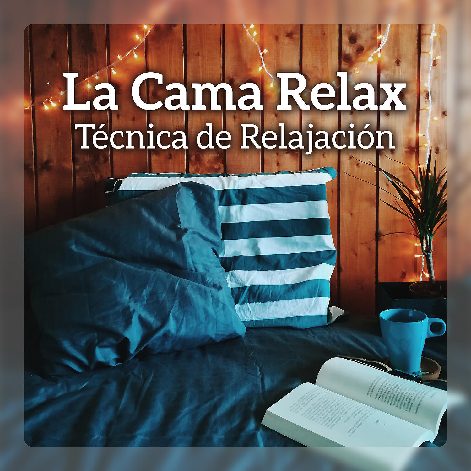 Academia de Música Mantras Budistas - Mind Experience
