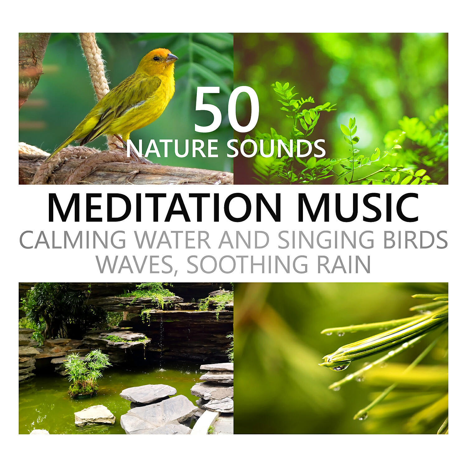 Calming Water Consort - White Noise Healing Session