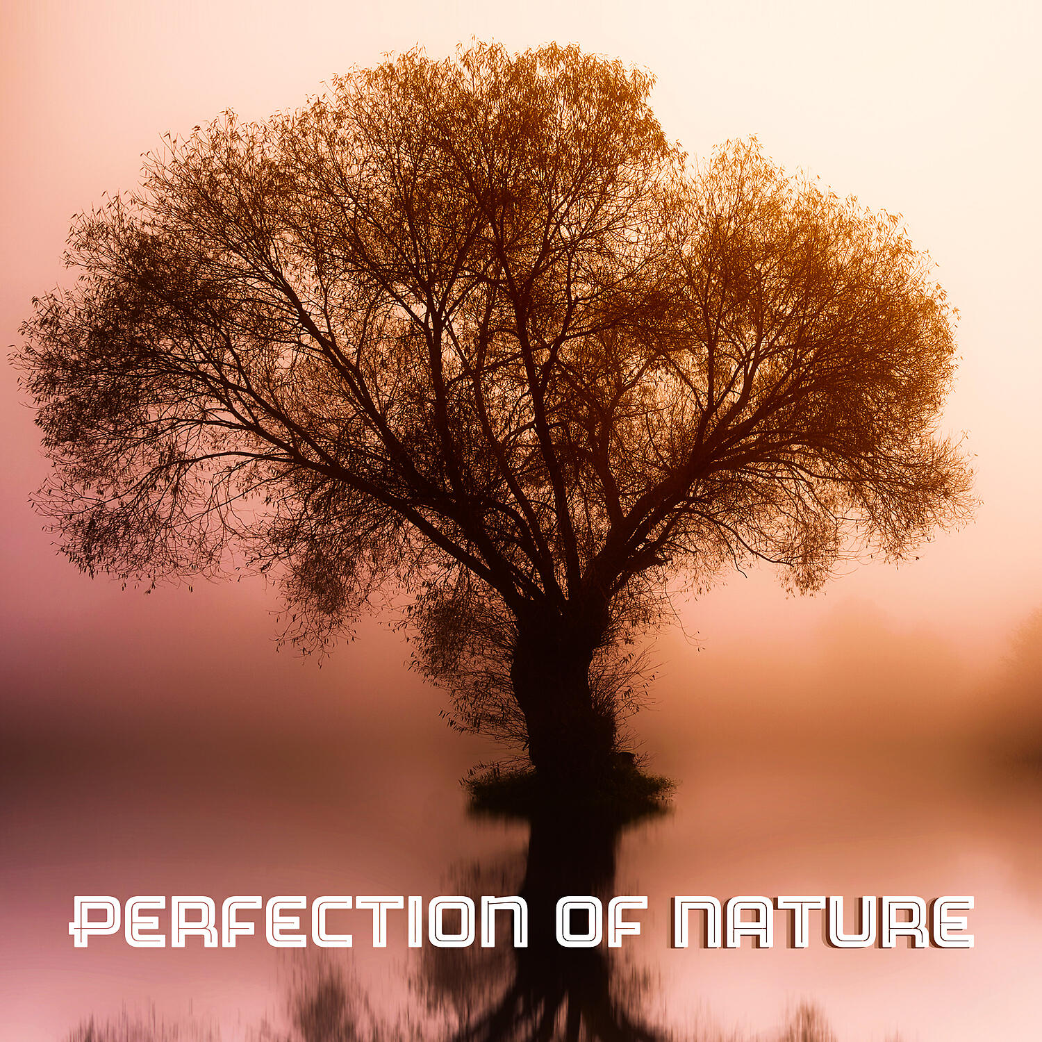 Exam Study Background Music Consort - Waves for Deeper Relaxation