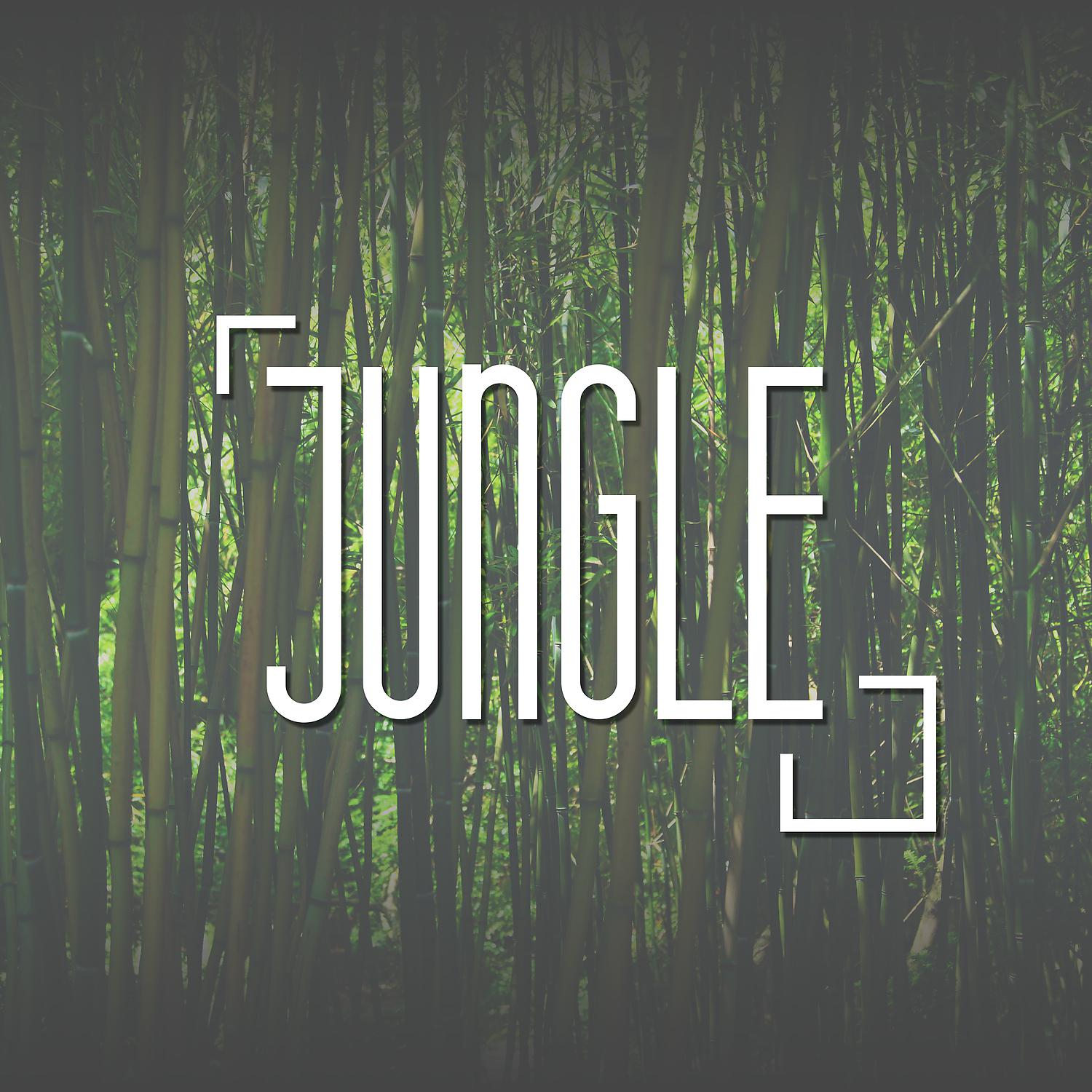 Постер альбома Jungle - Green Ferns, Fresh Air, Freedom, Calm, Quiet, Dancing on the Sand