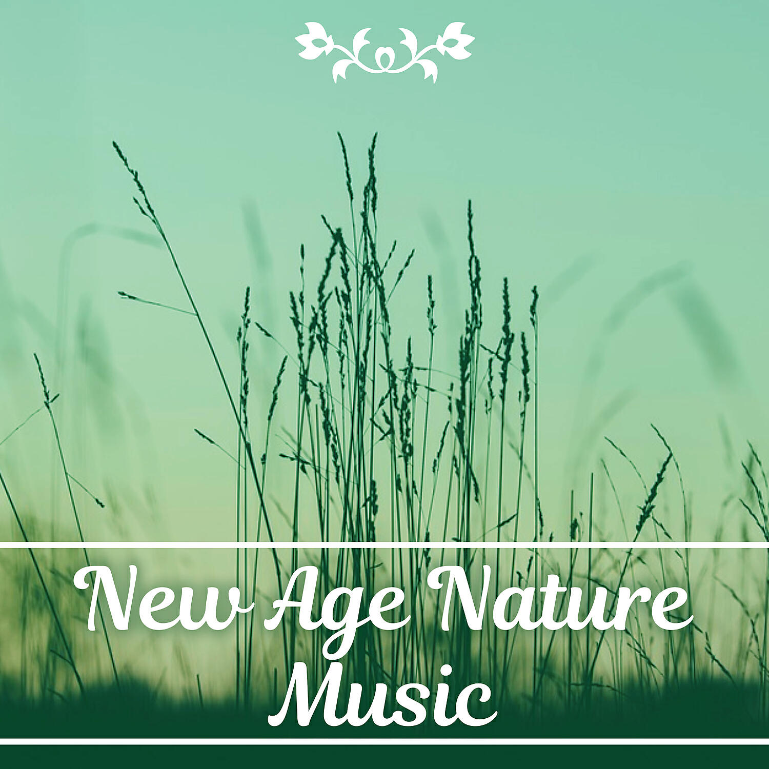 Kings of Nature - Soothing Nature Sound