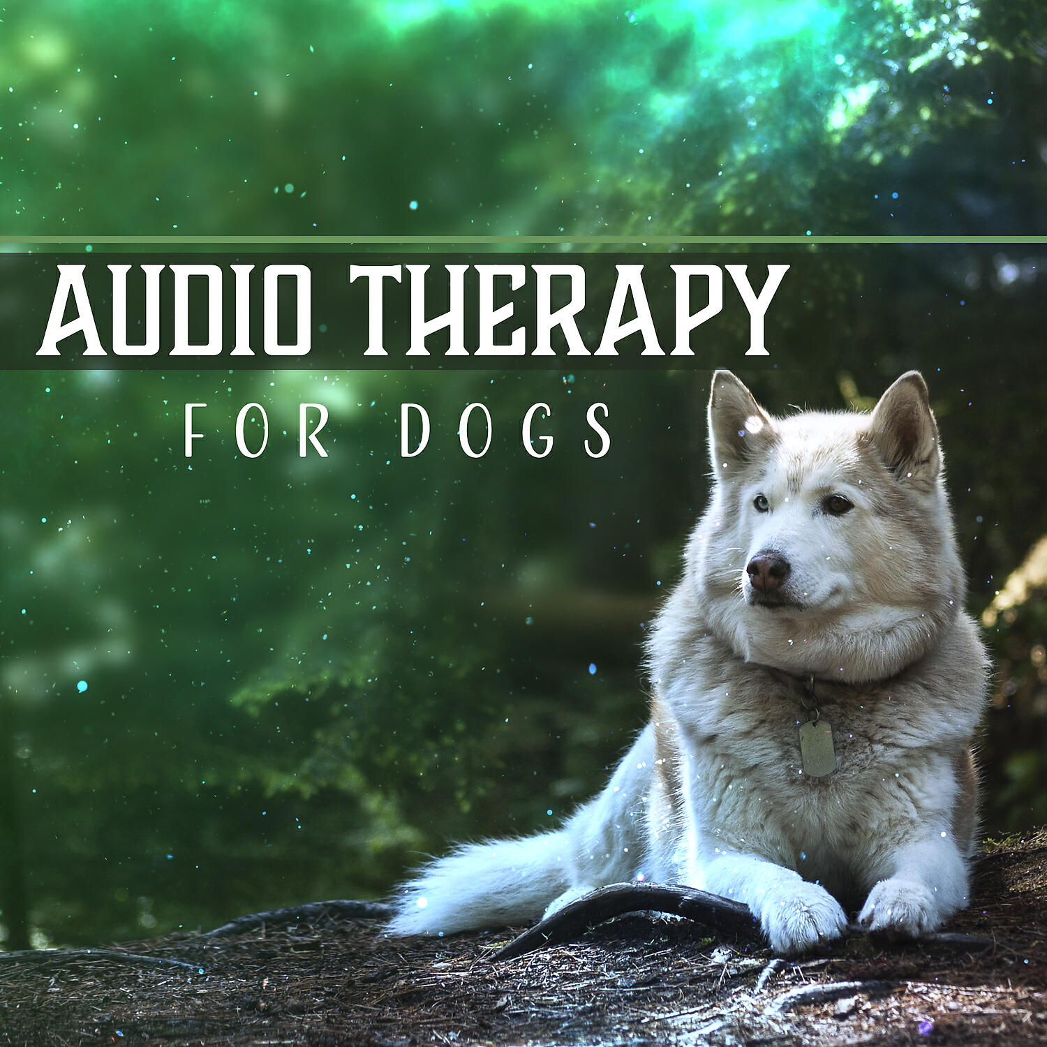 Pet Relax Academy - Music for Pet Massage