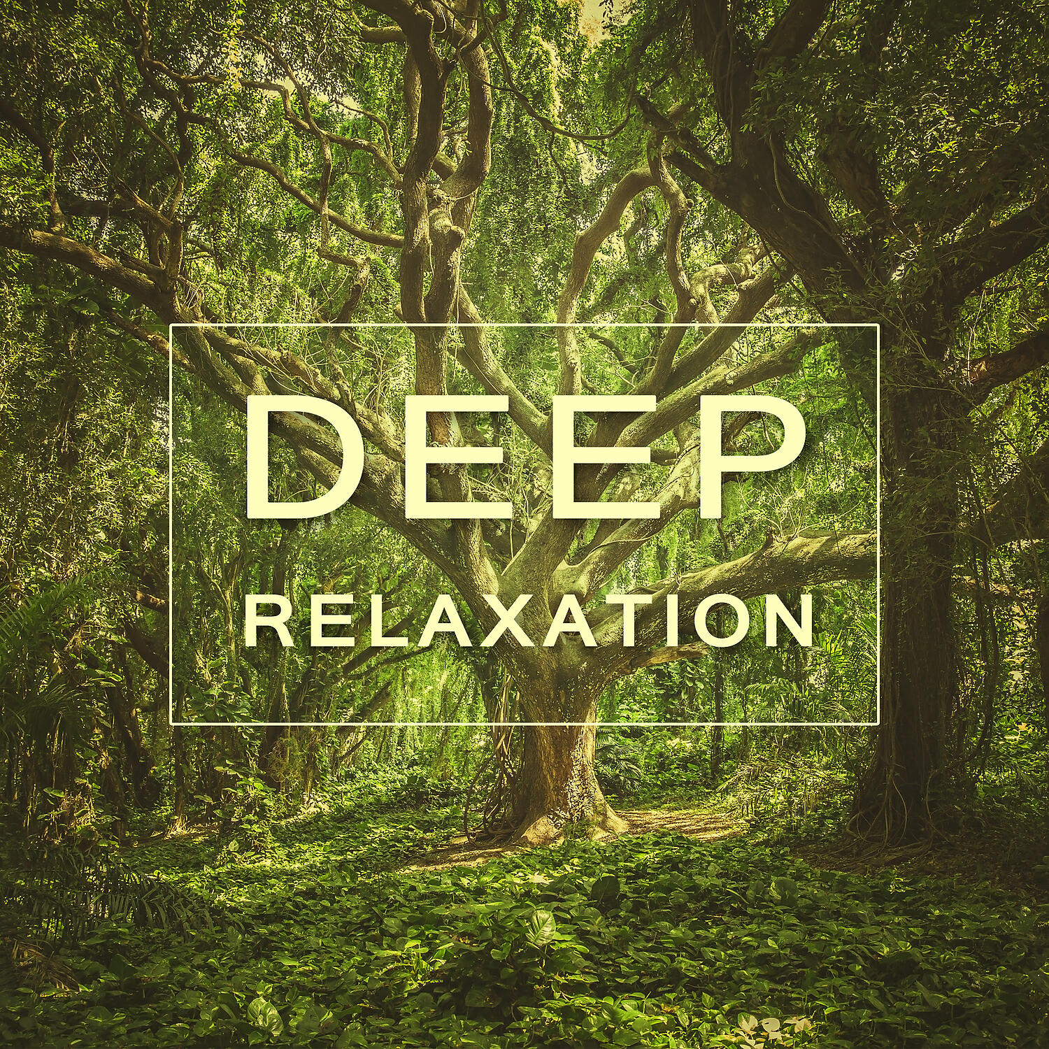The Calming Sounds of Nature - Soft Music