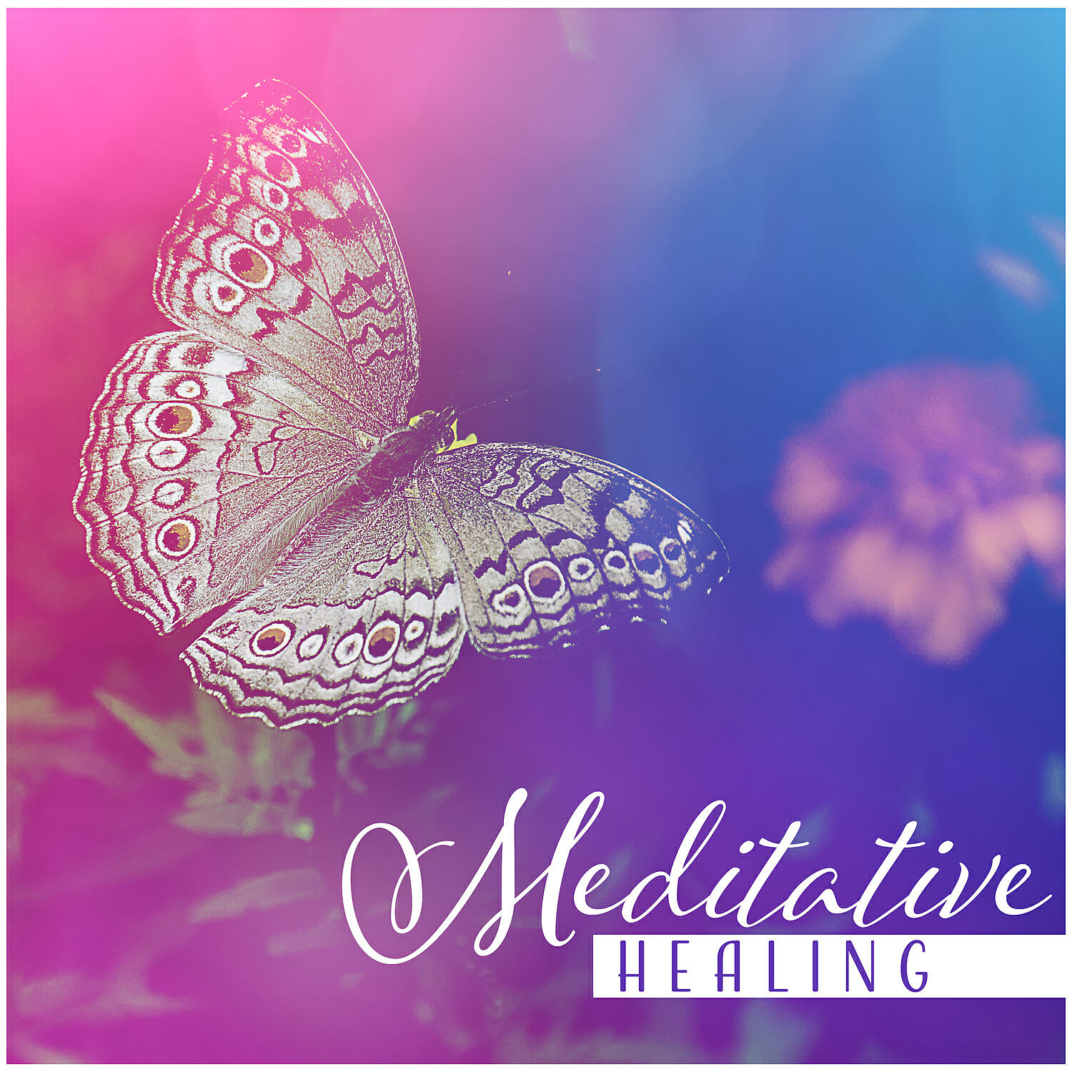 Healing Yoga Meditation Music Consort - Guided Meditation