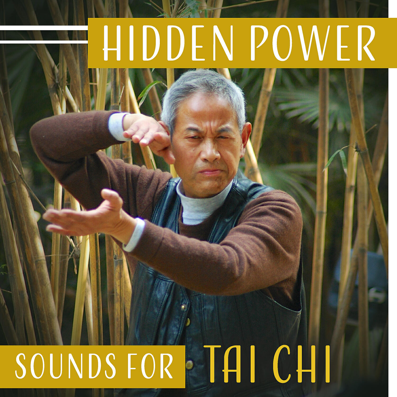 Tai Chi Spiritual Moments - Defence Technique